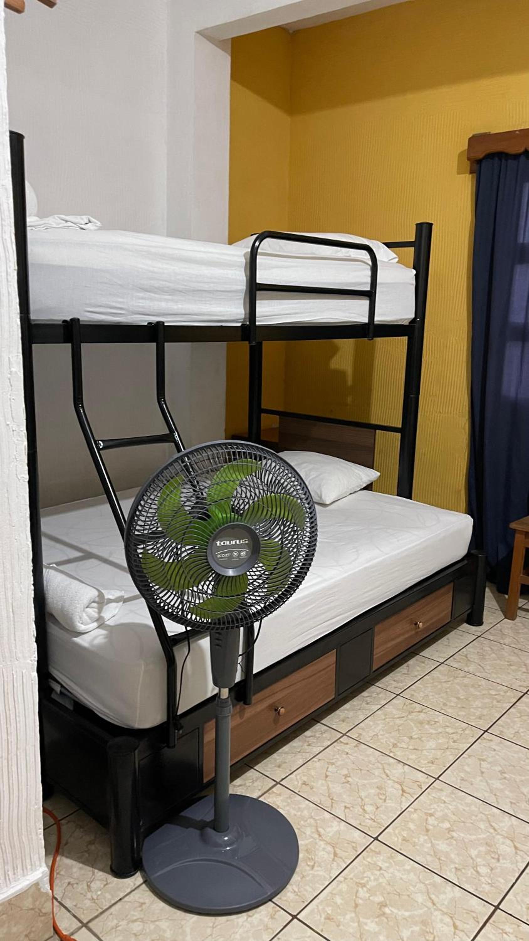 Bunk Bed in Mixed Dormitory Room photo 2
