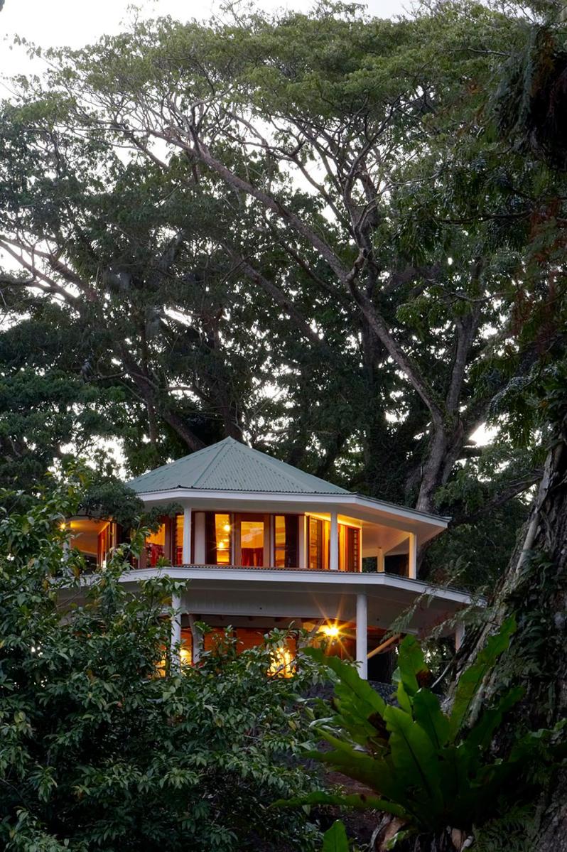 Treetop Villa