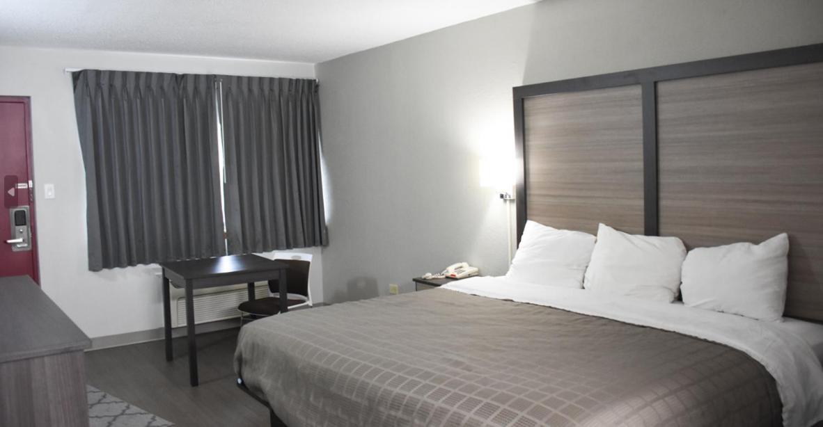 King Suite - Photo 5