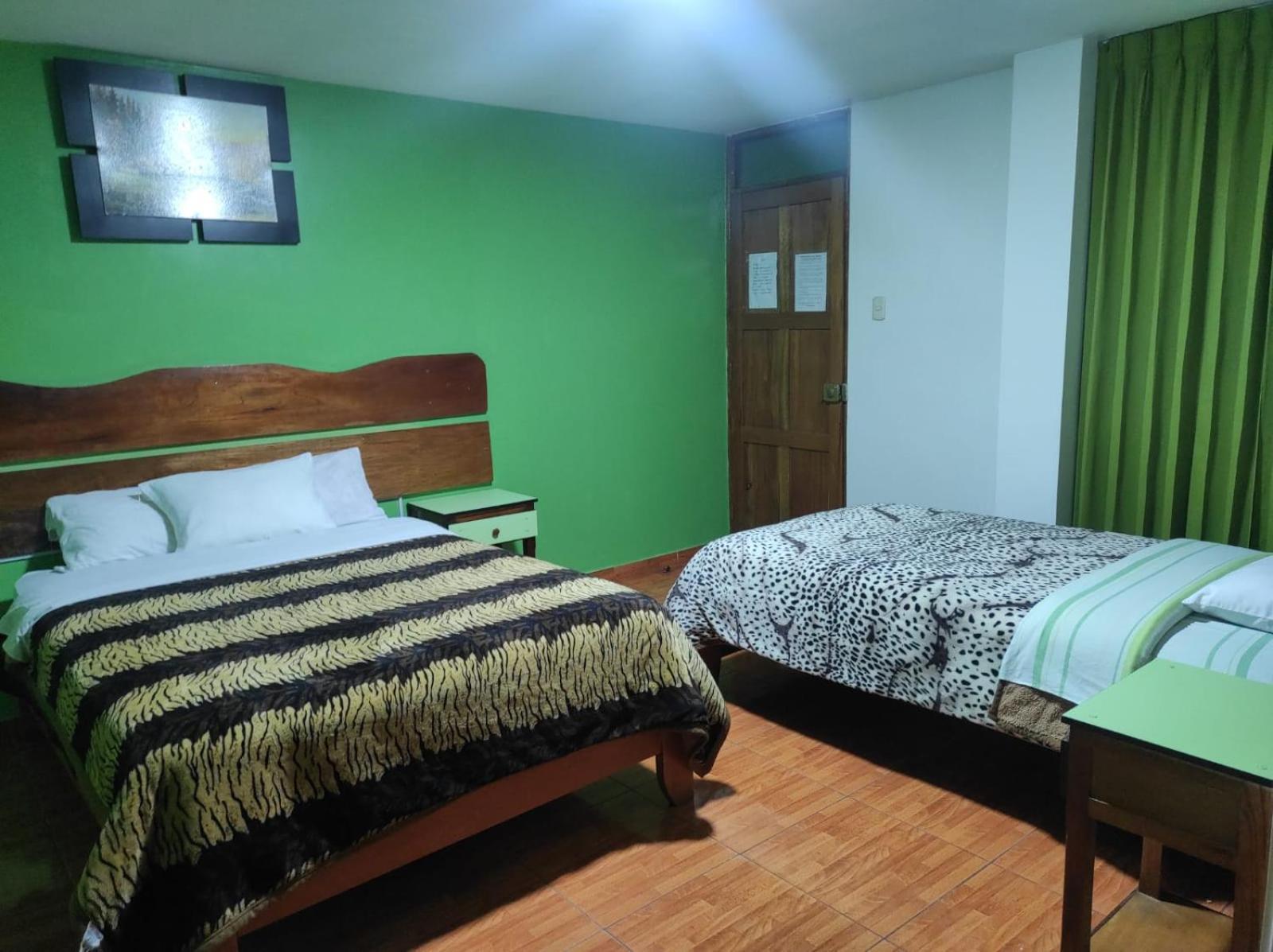 Twin Room photo 2