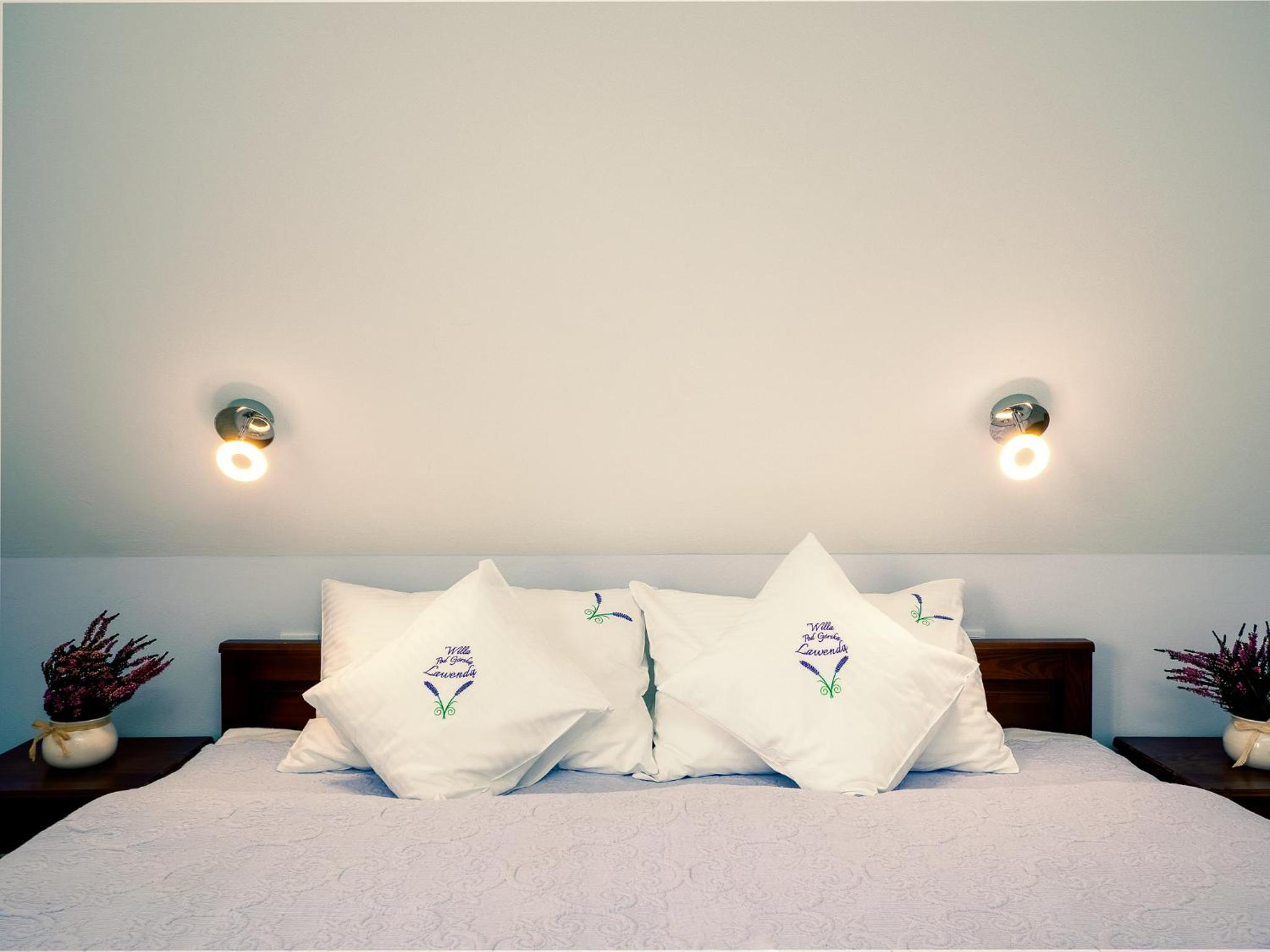 Double Room with Mountain View photo 3
