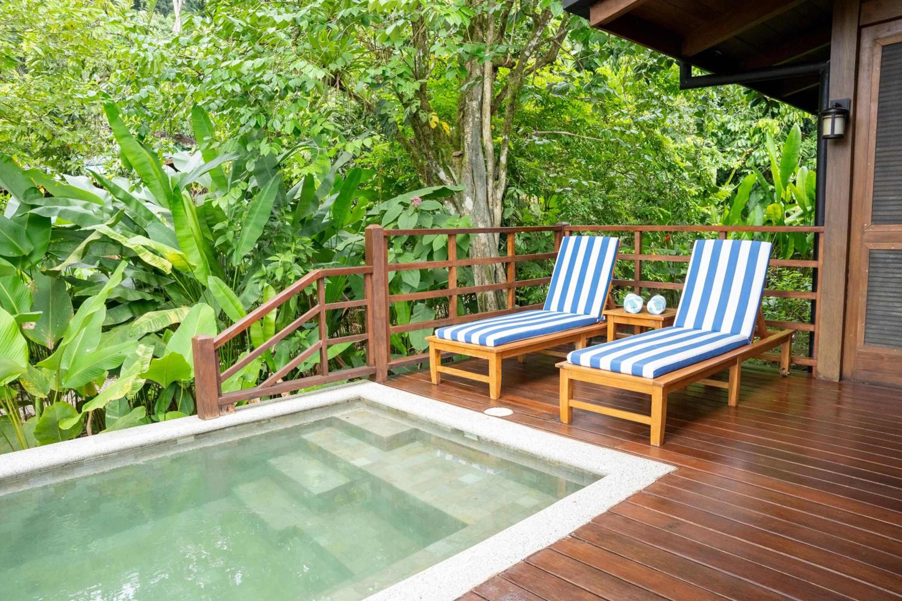 Suite with Private Pool photo 3