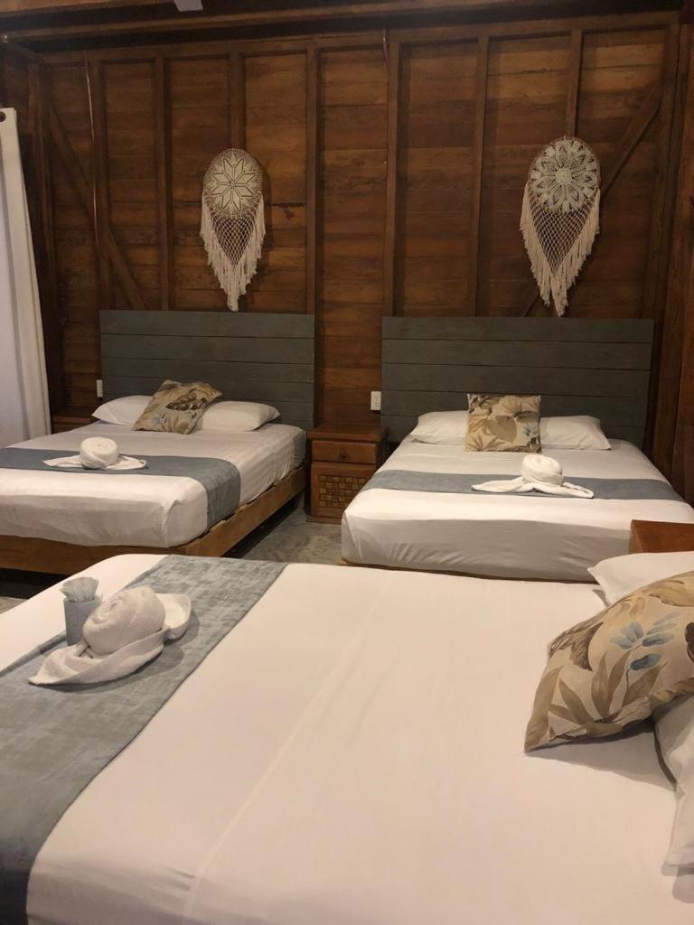 Triple Room photo 3