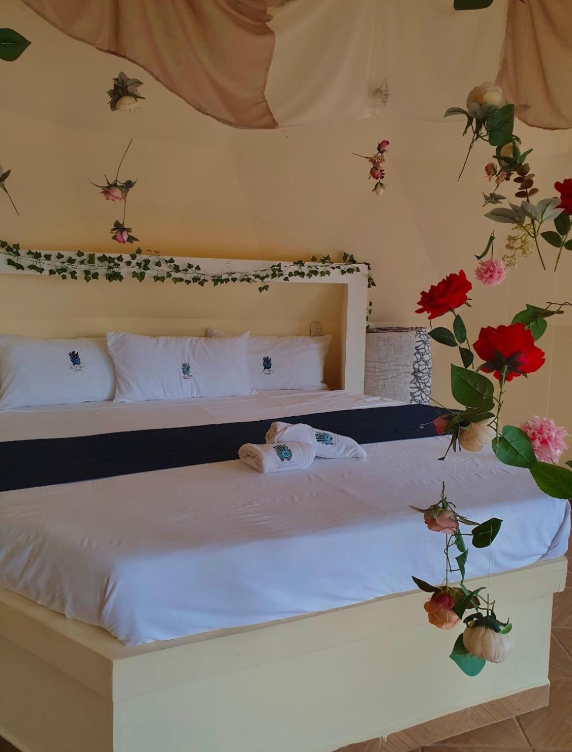 Deluxe Double or Twin Room with Mountain View - Photo 2