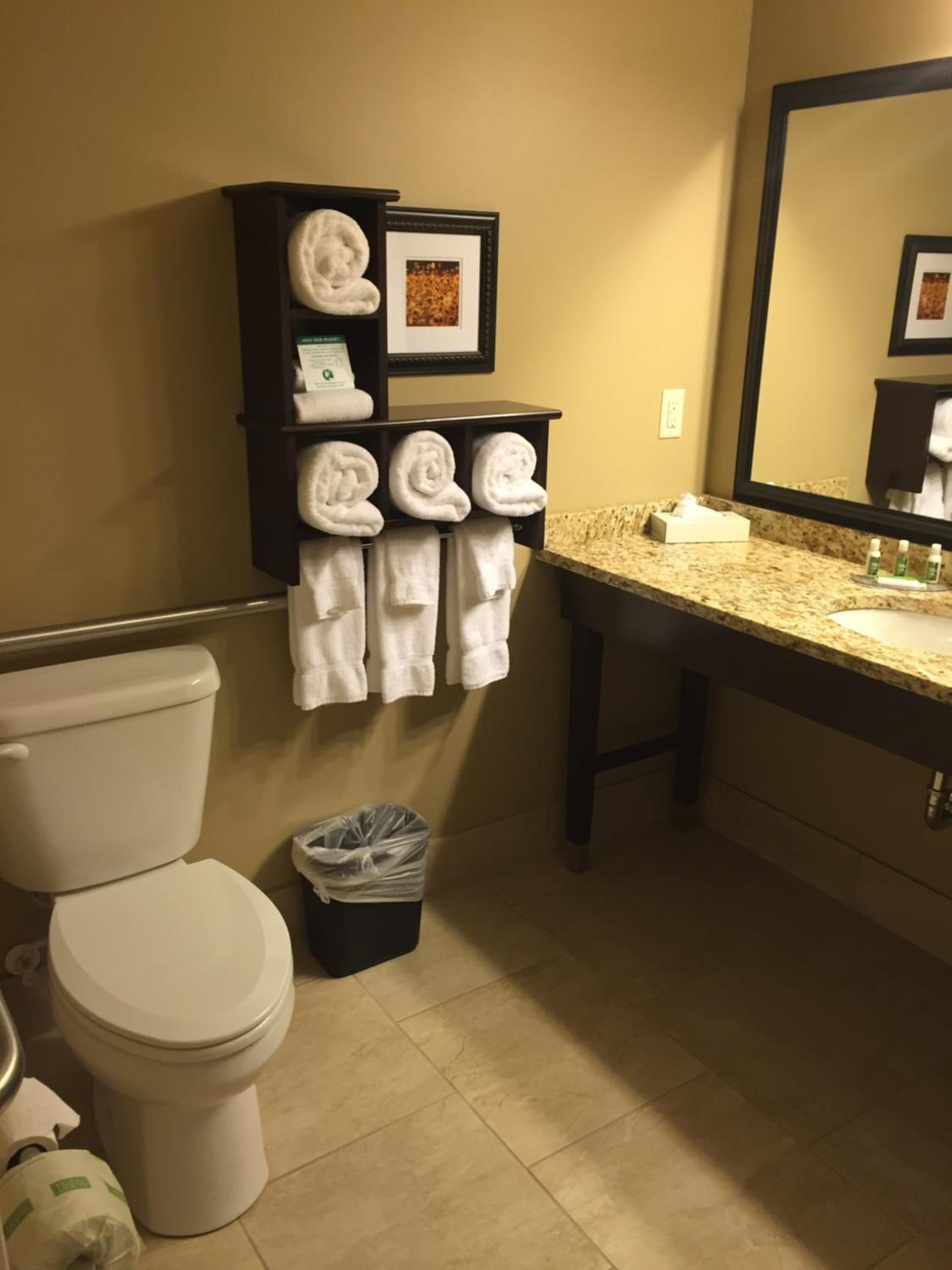 Deluxe King Suite photo 3
