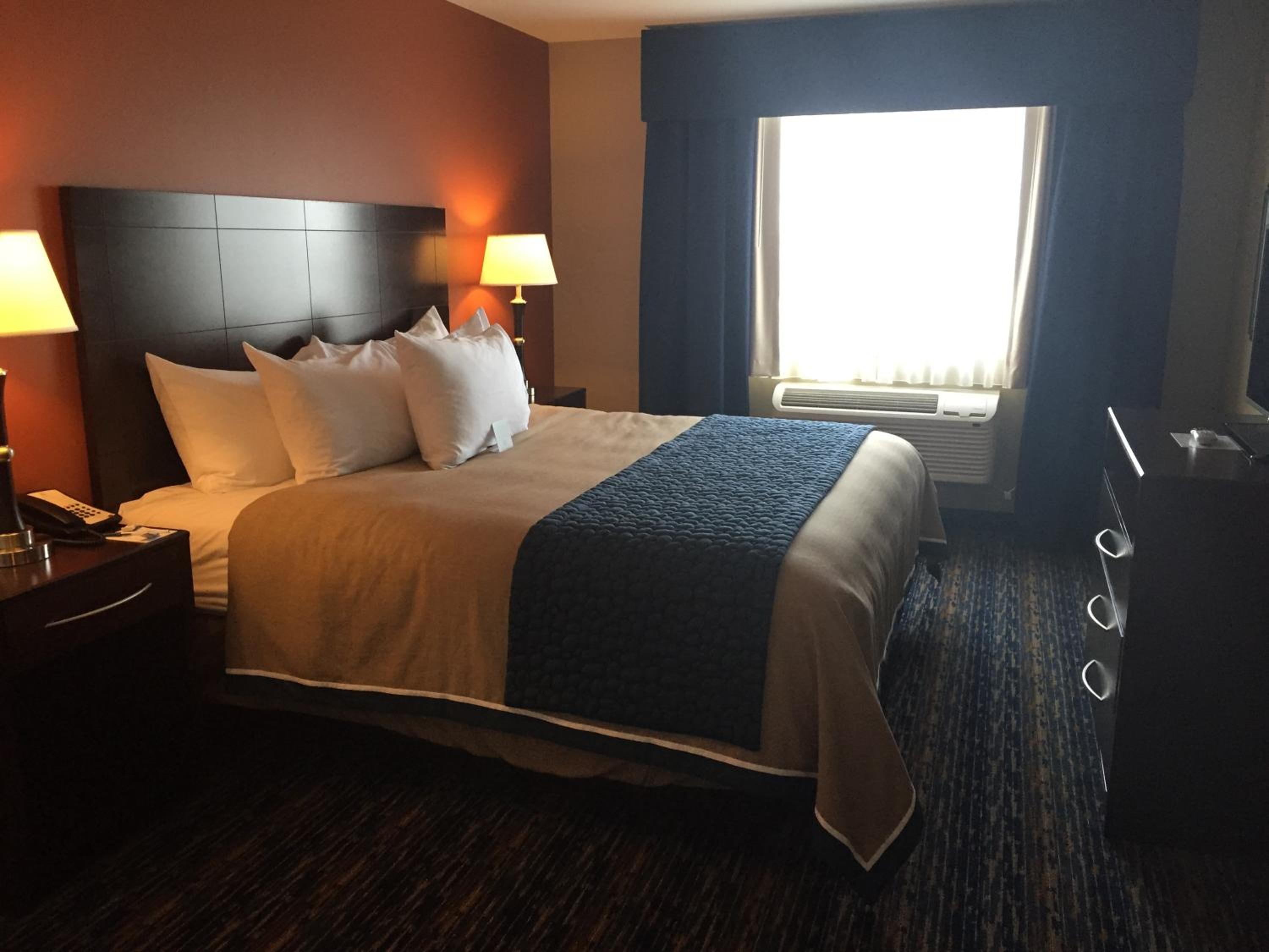 Deluxe King Suite photo 2