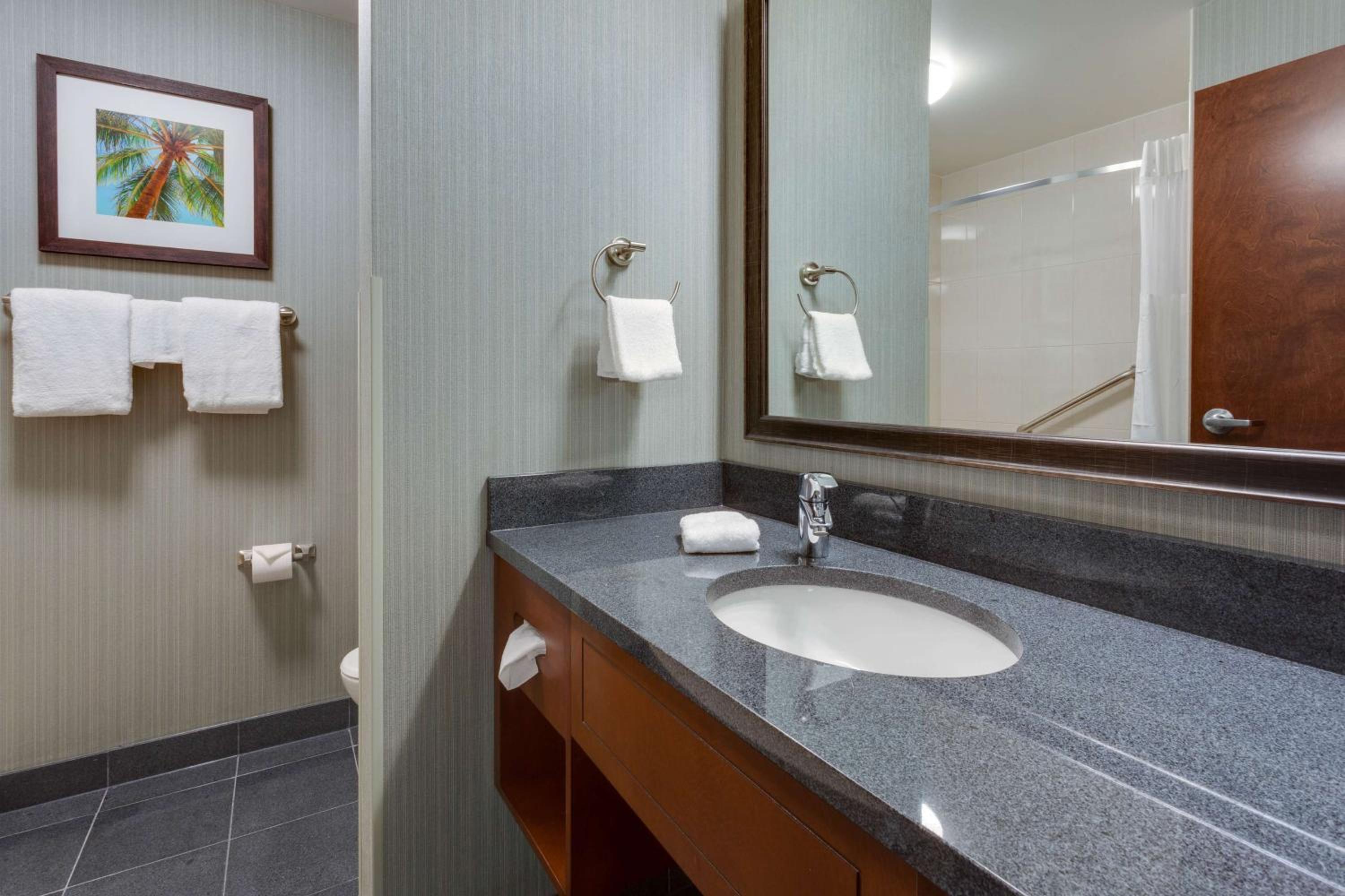 King Meeting Suite with Board Room Table, 2 Rooms - Hearing Accessible, Tub photo 2