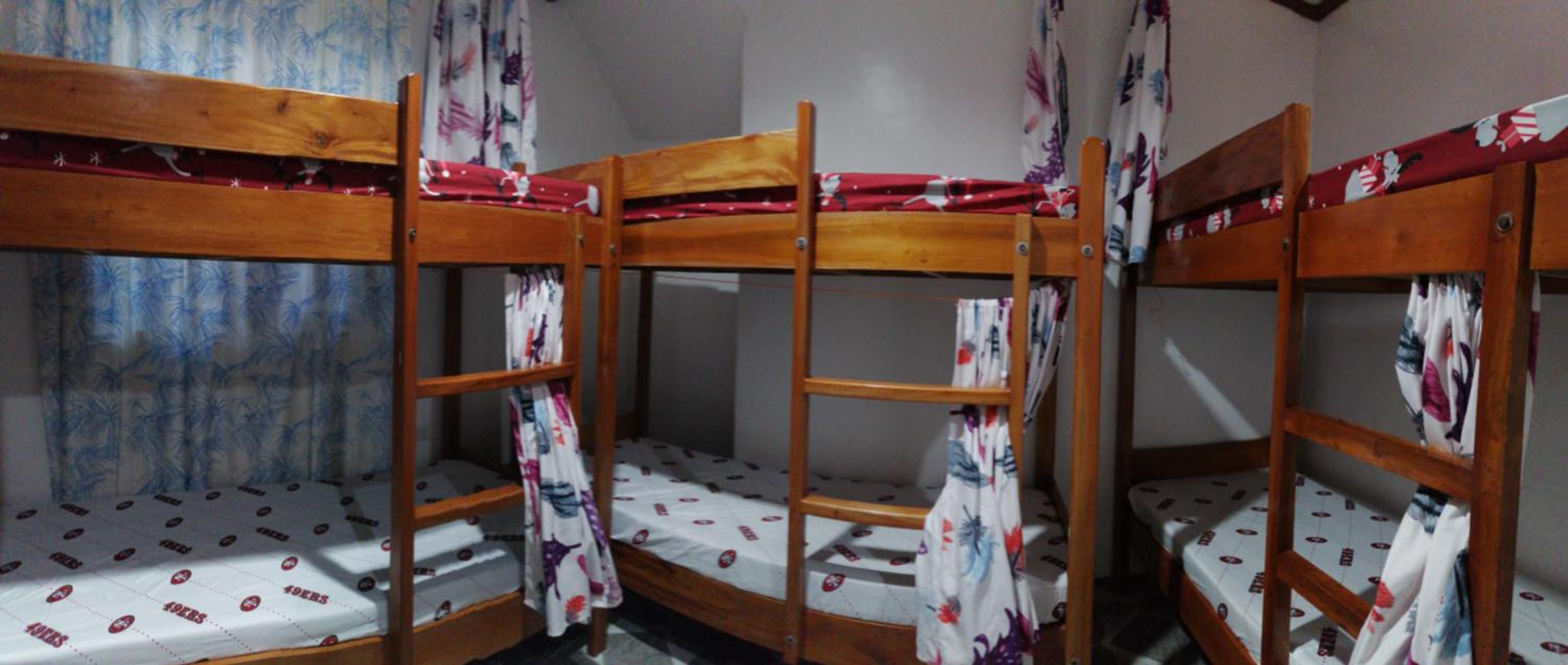 Bunk Bed in Mixed Dormitory Room photo 2