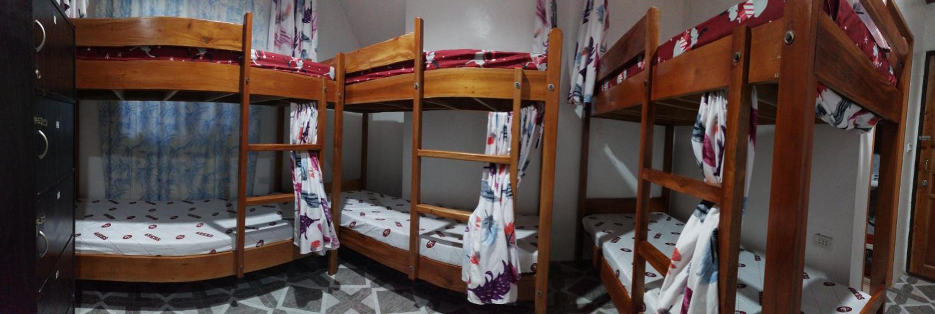 Bunk Bed in Mixed Dormitory Room photo 3