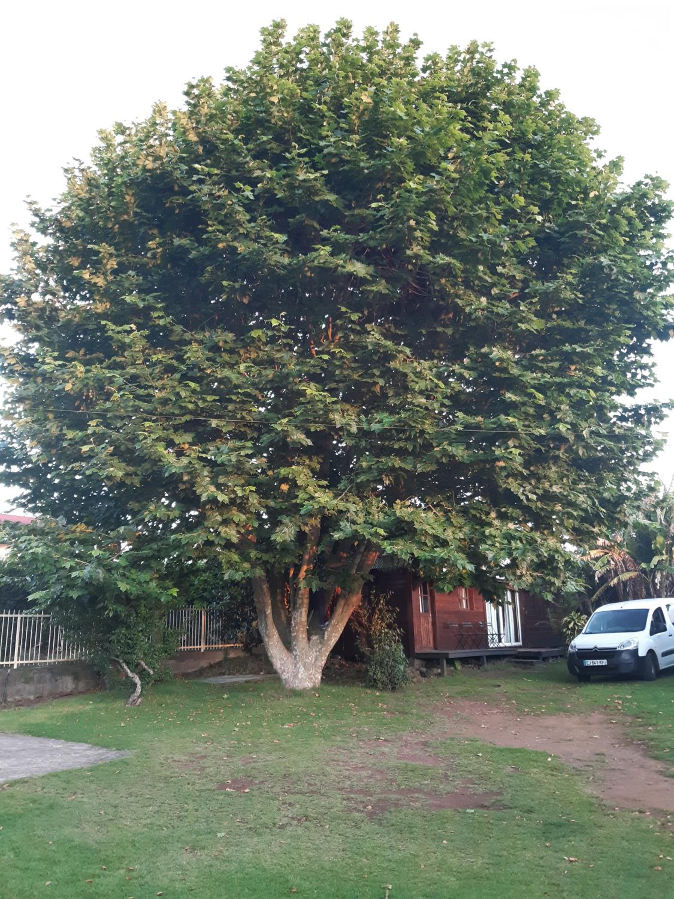Vacation Home photo 3