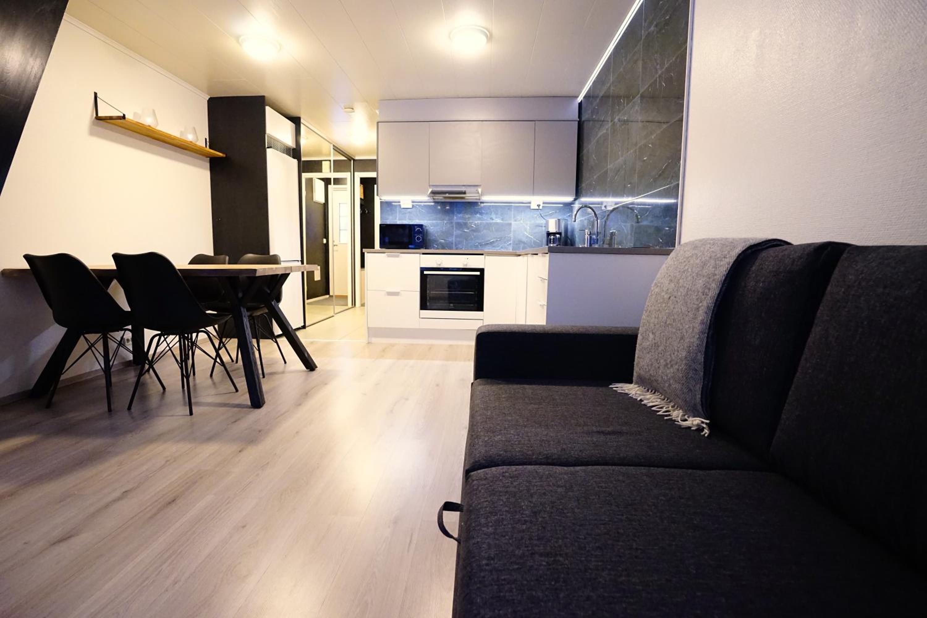 One-Bedroom Apartment photo 3