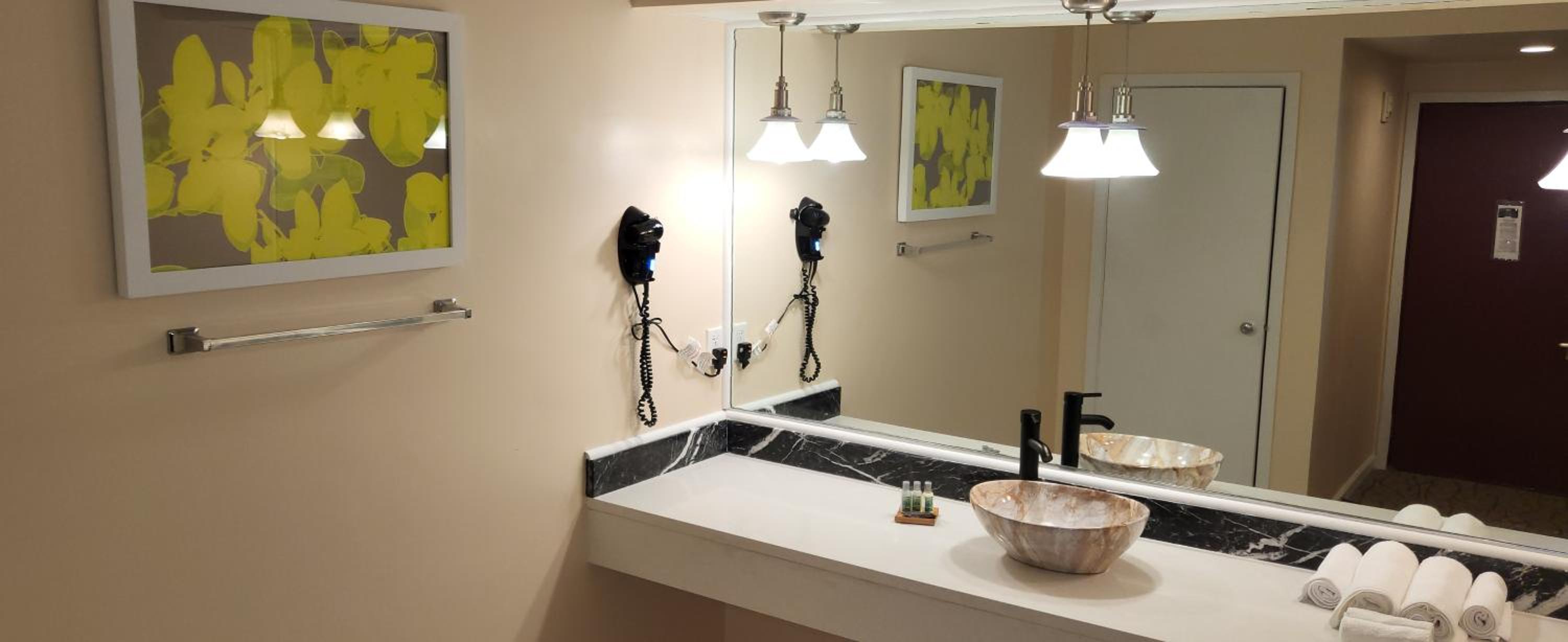 Deluxe King Suite - Photo 8