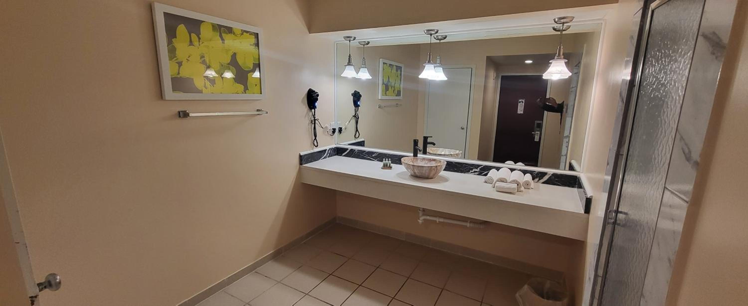 Deluxe King Suite - Photo 22