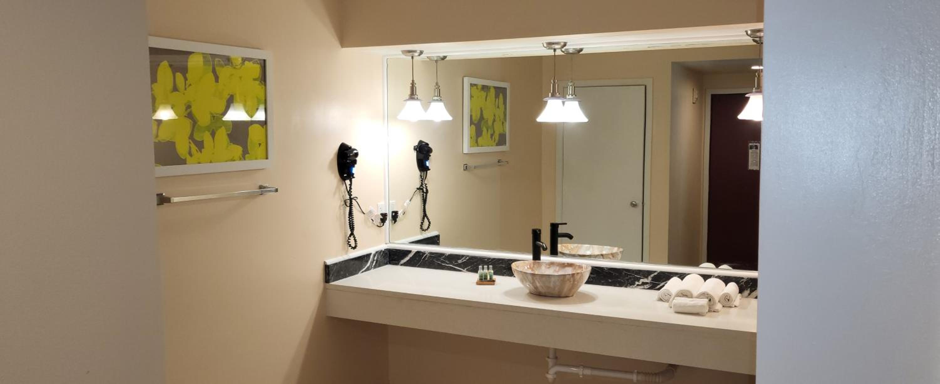 Deluxe King Suite - Photo 12