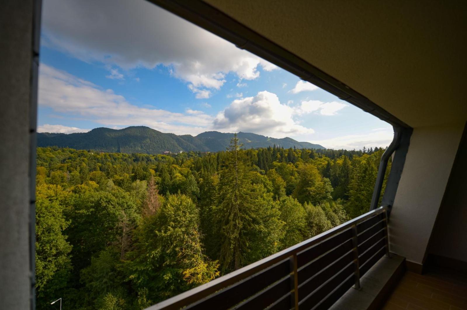 Junior Suite with Mountain View & Fireplace - Photo 2