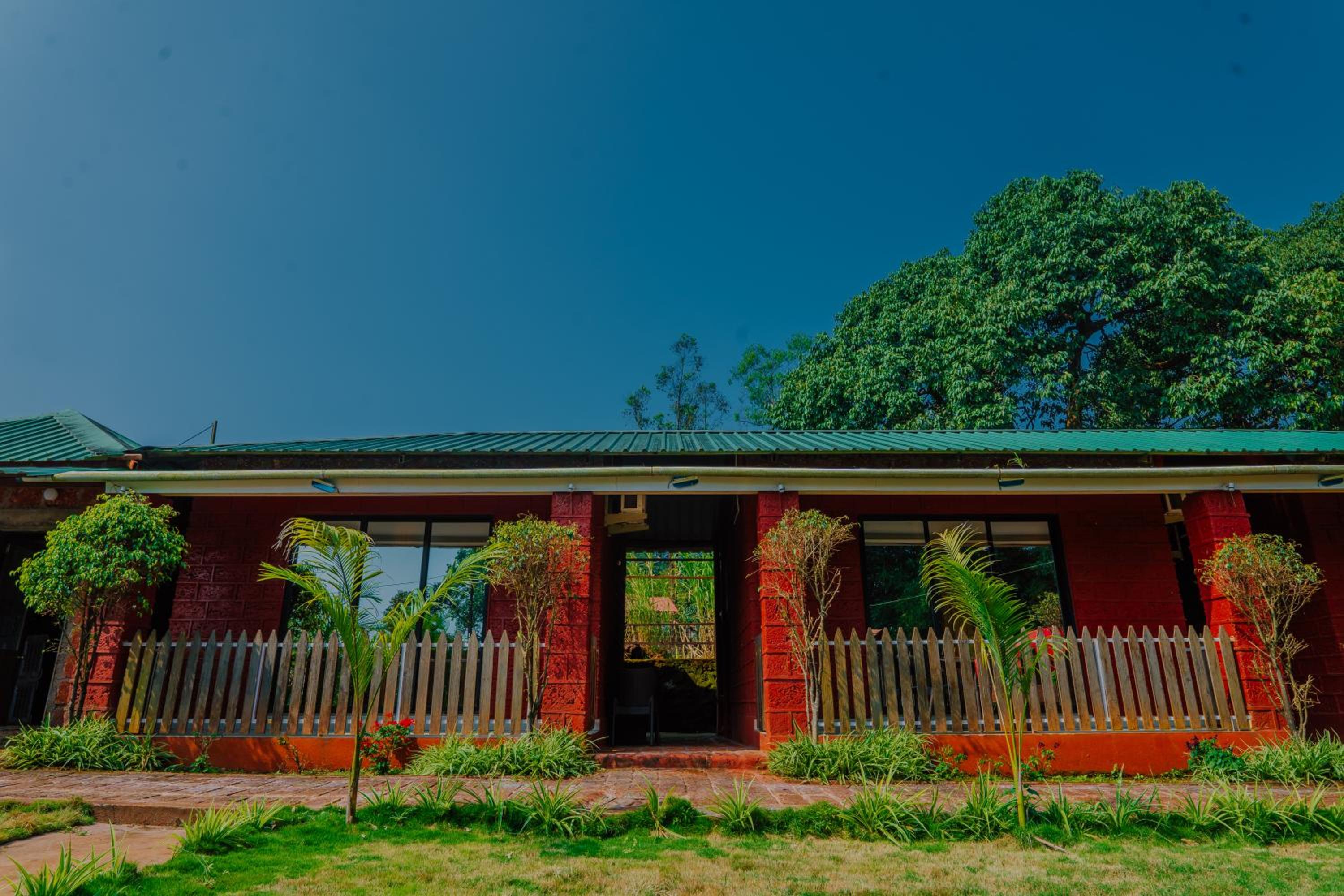 King Room with Garden View photo 3