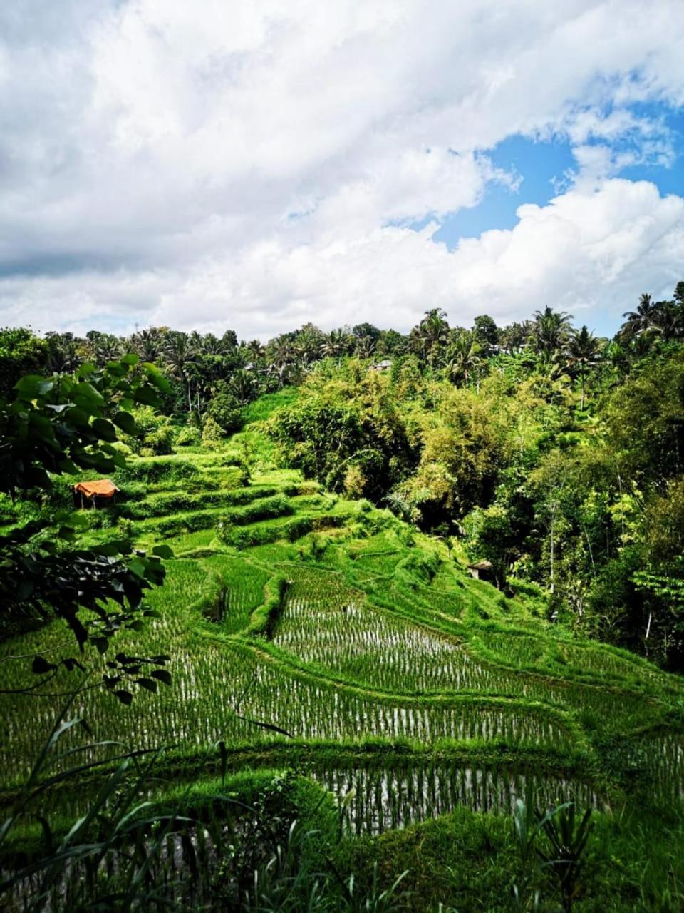 One-Bedroom House photo 2