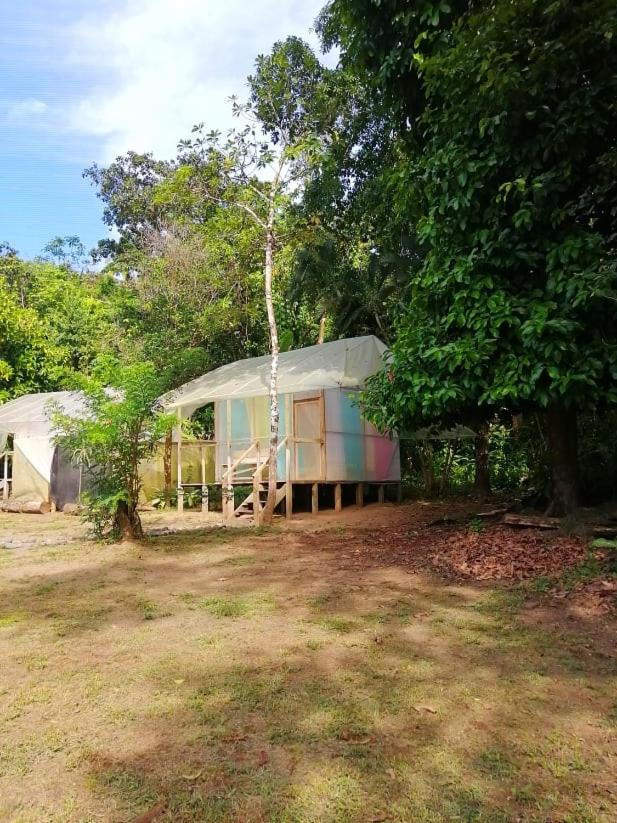 Bungalow with Garden View photo 1