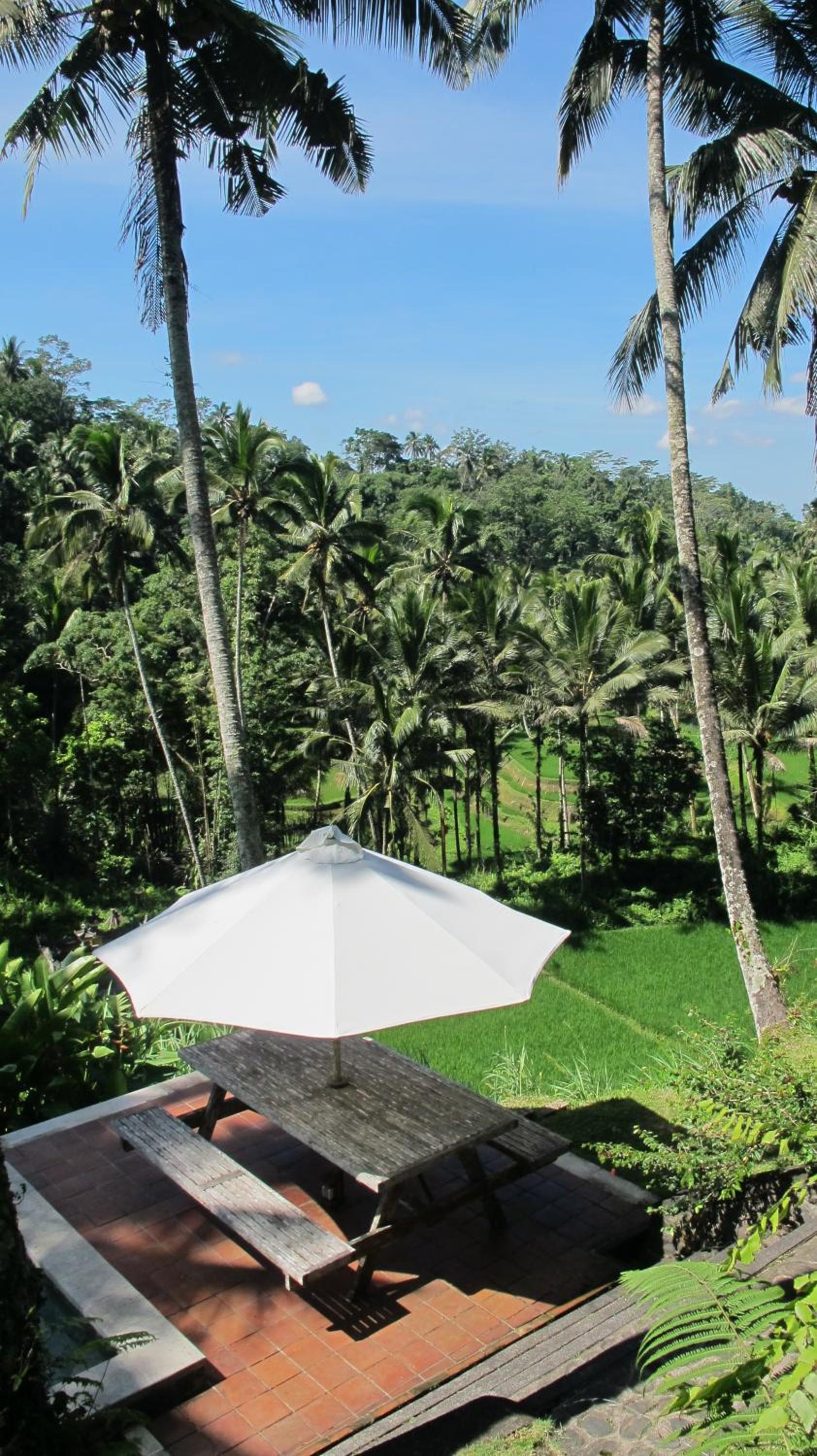 Deluxe Double Room with Balcony photo 3