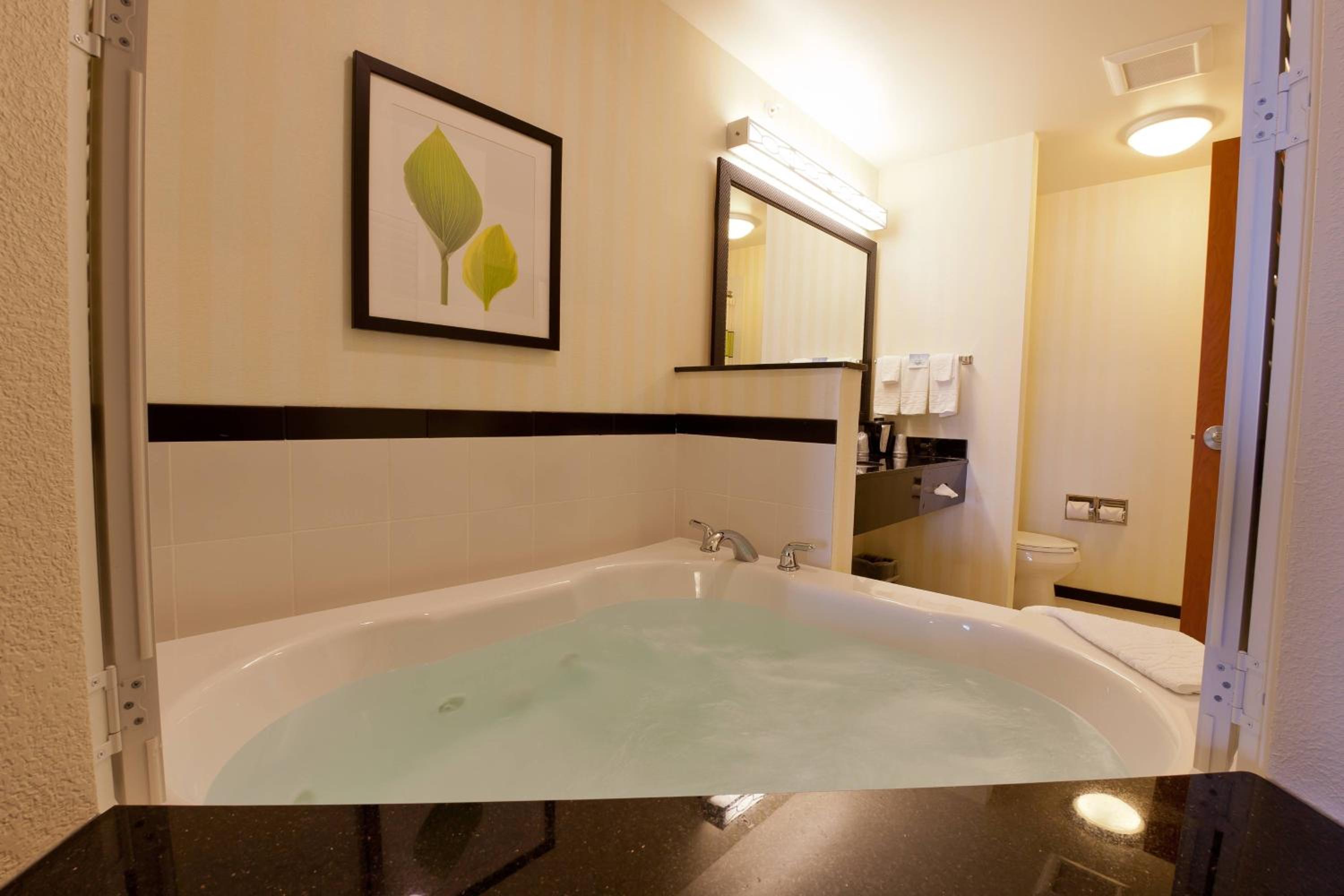 King Suite with Specialty Bathtub and Sofa Bed - Photo 1