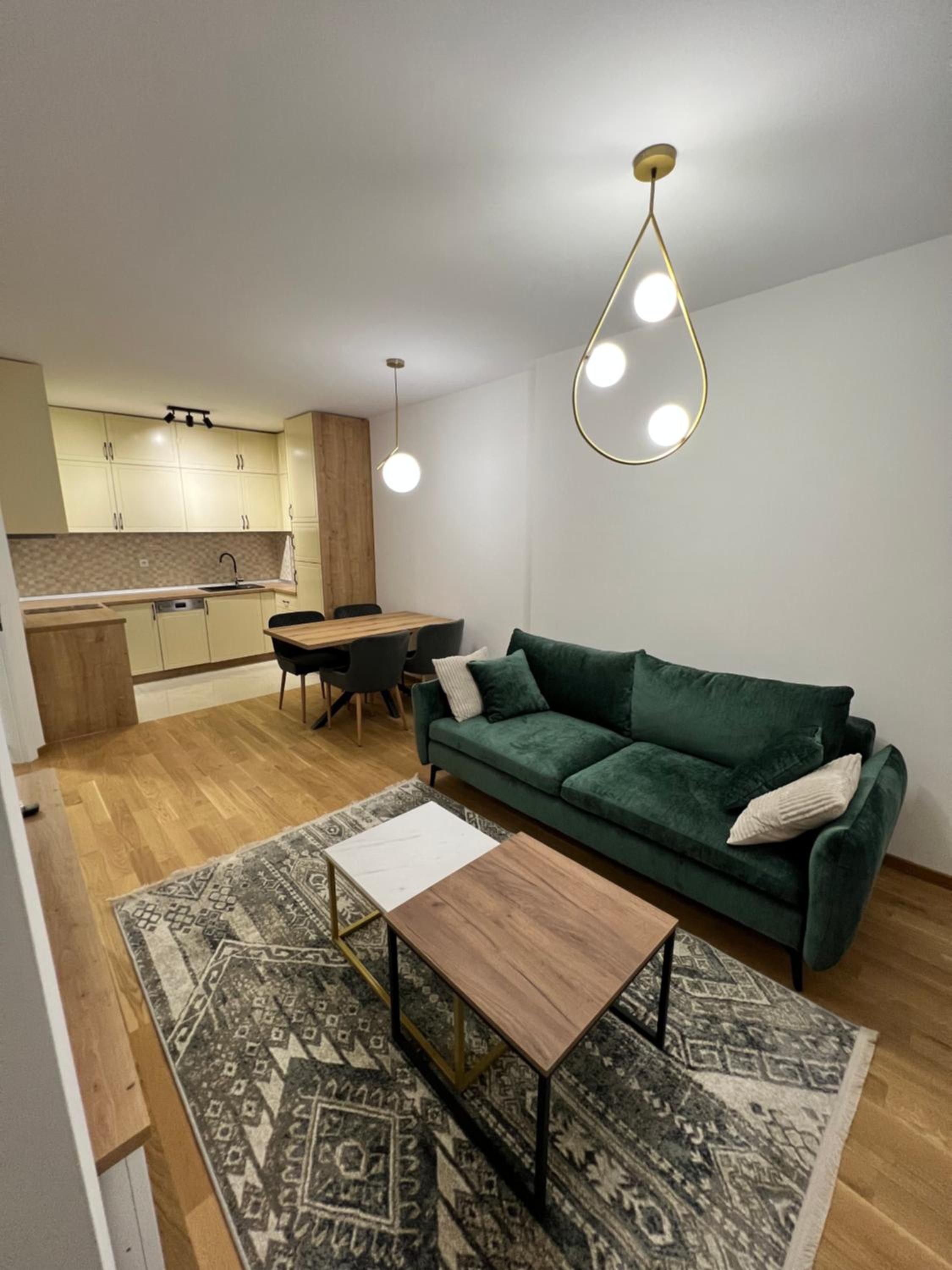 One-Bedroom Apartment photo 3