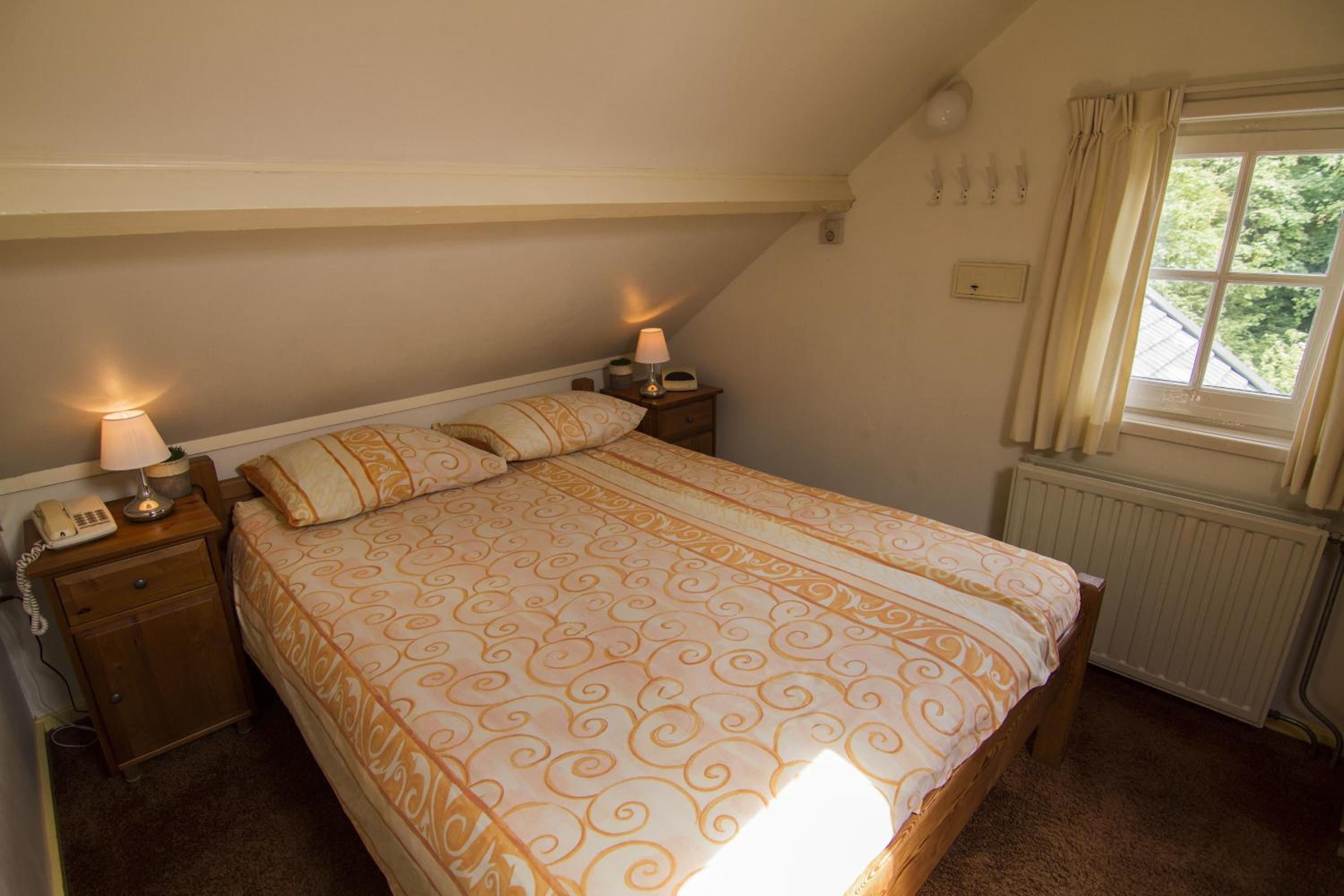 Small Double Room In Attic Backside  photo 2