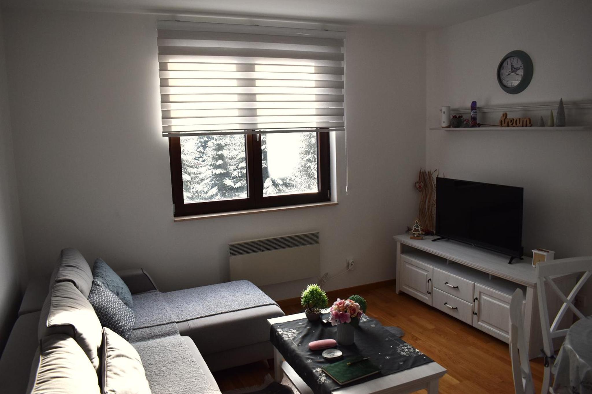 Apartment with Mountain View photo 1