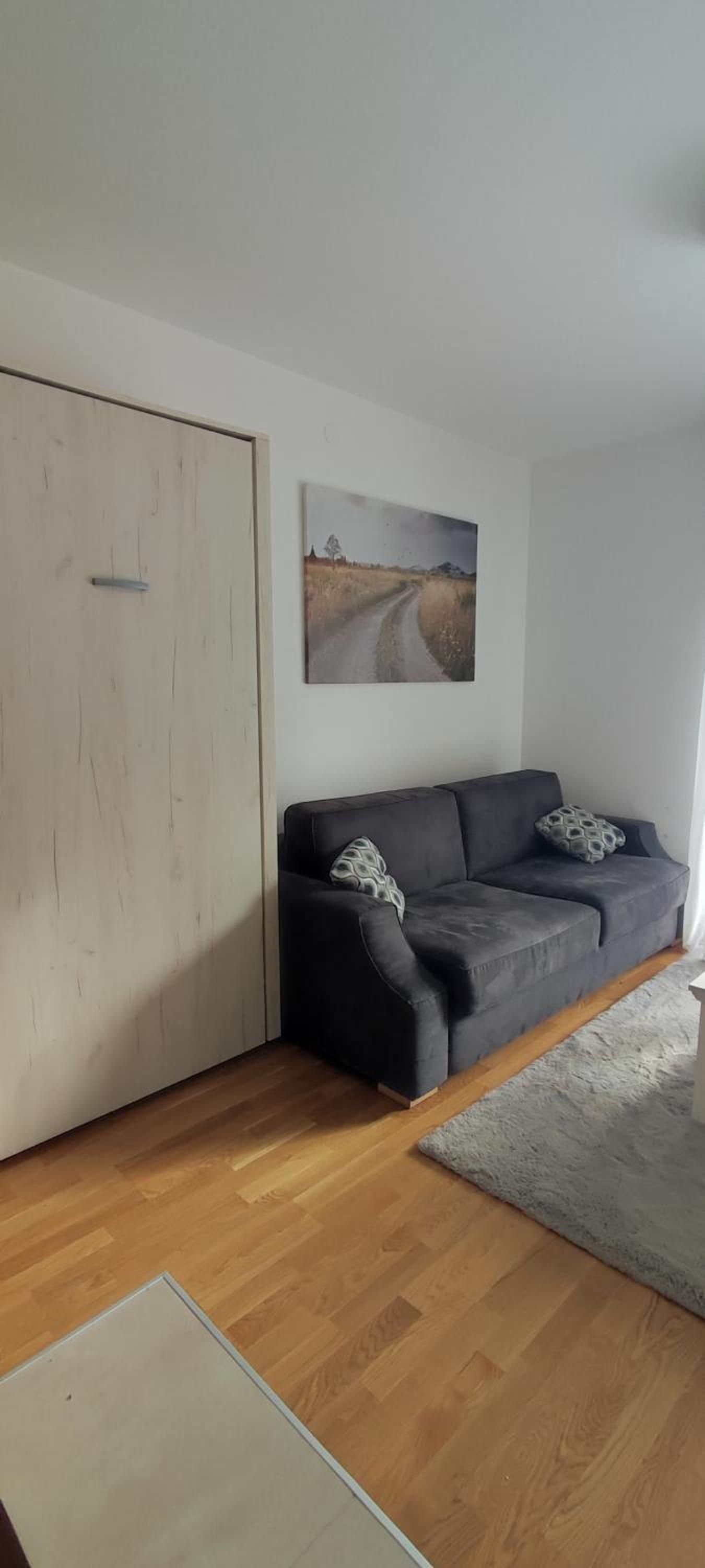 Studio Apartment photo 3