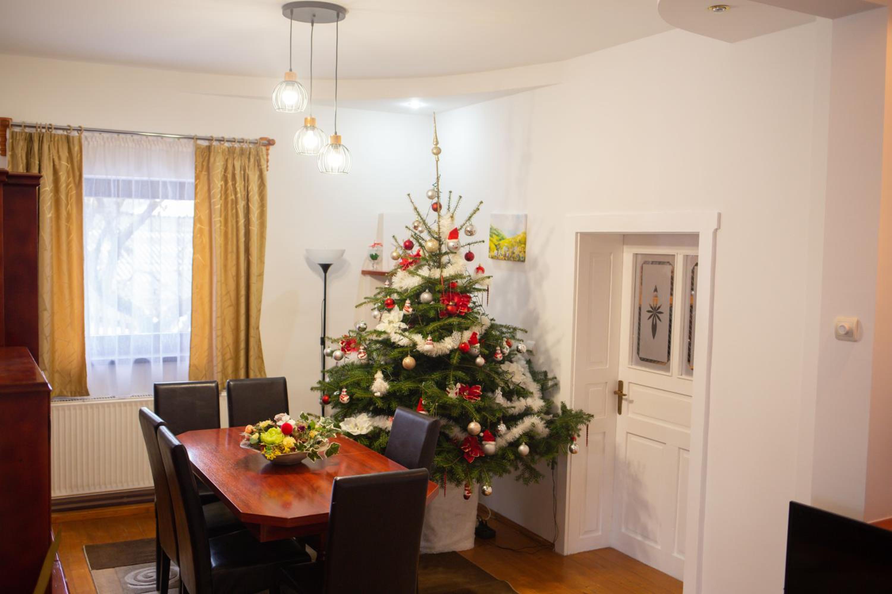 Vacation Home photo 3