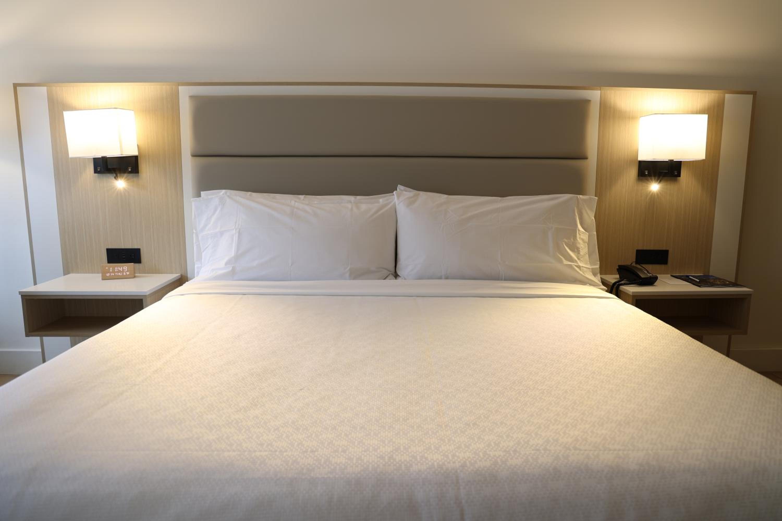 Premium One King Bed - Photo 1