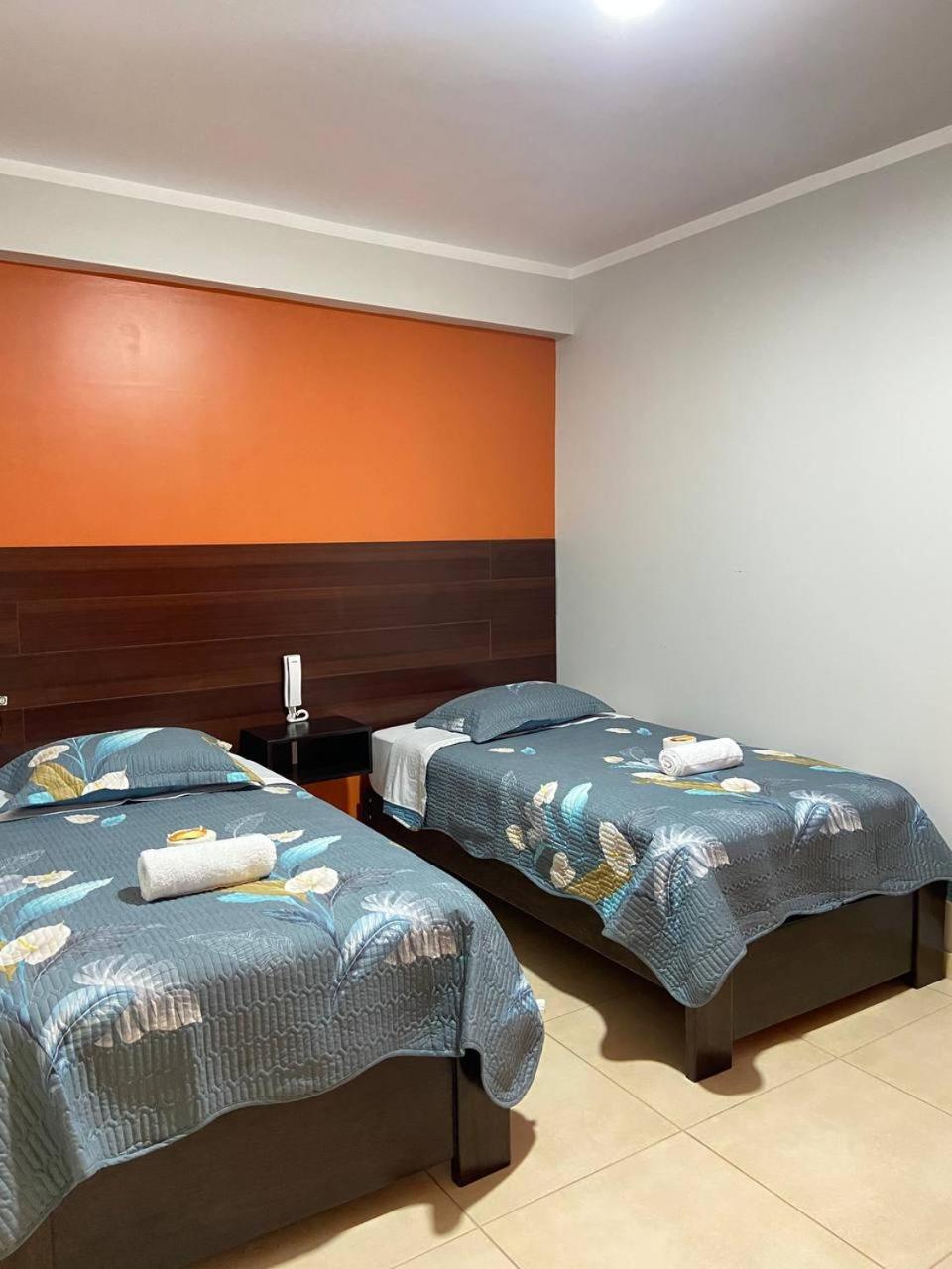 Twin Room photo 3