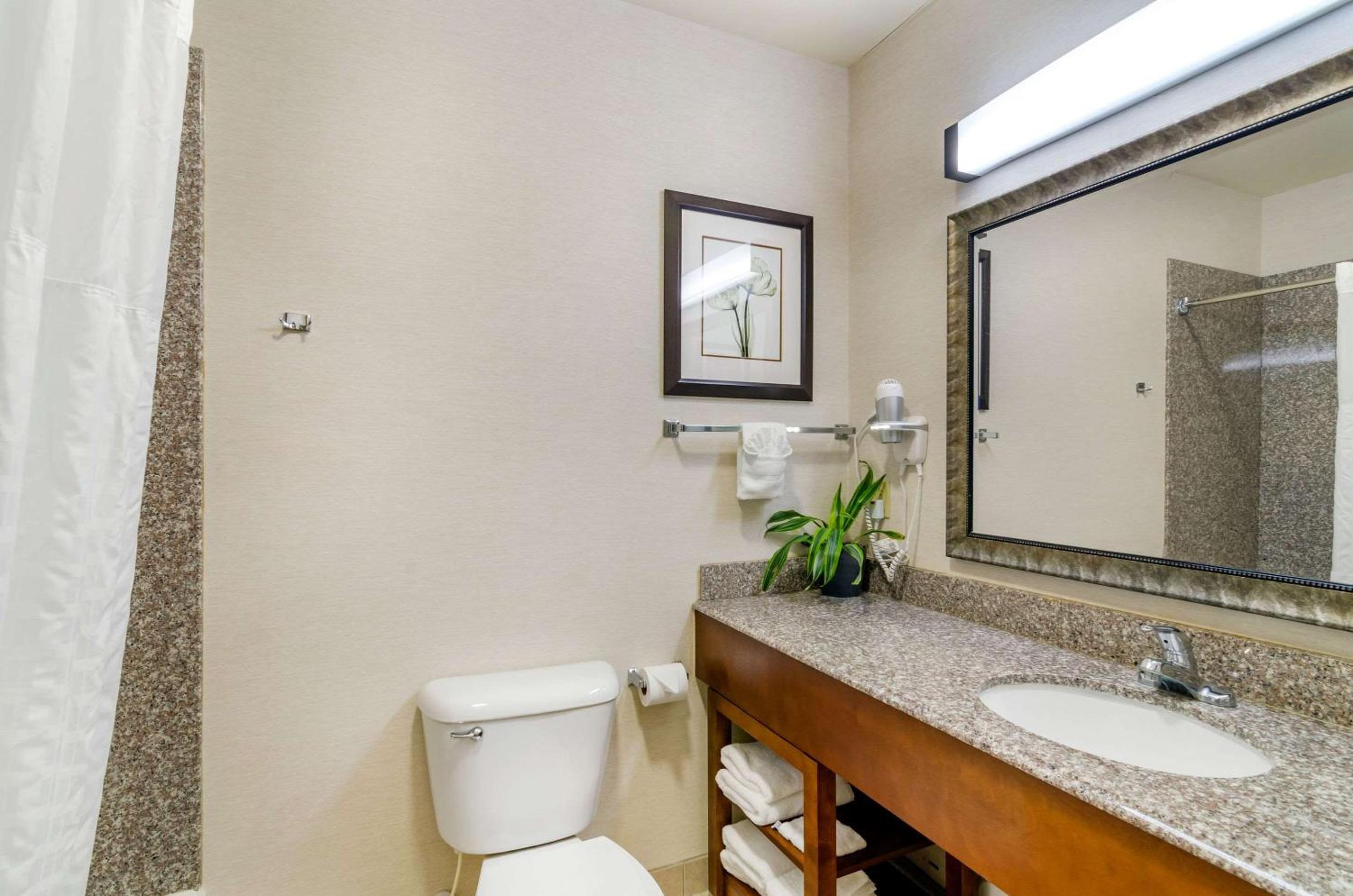 Queen Suite - Non-Smoking - Photo 2