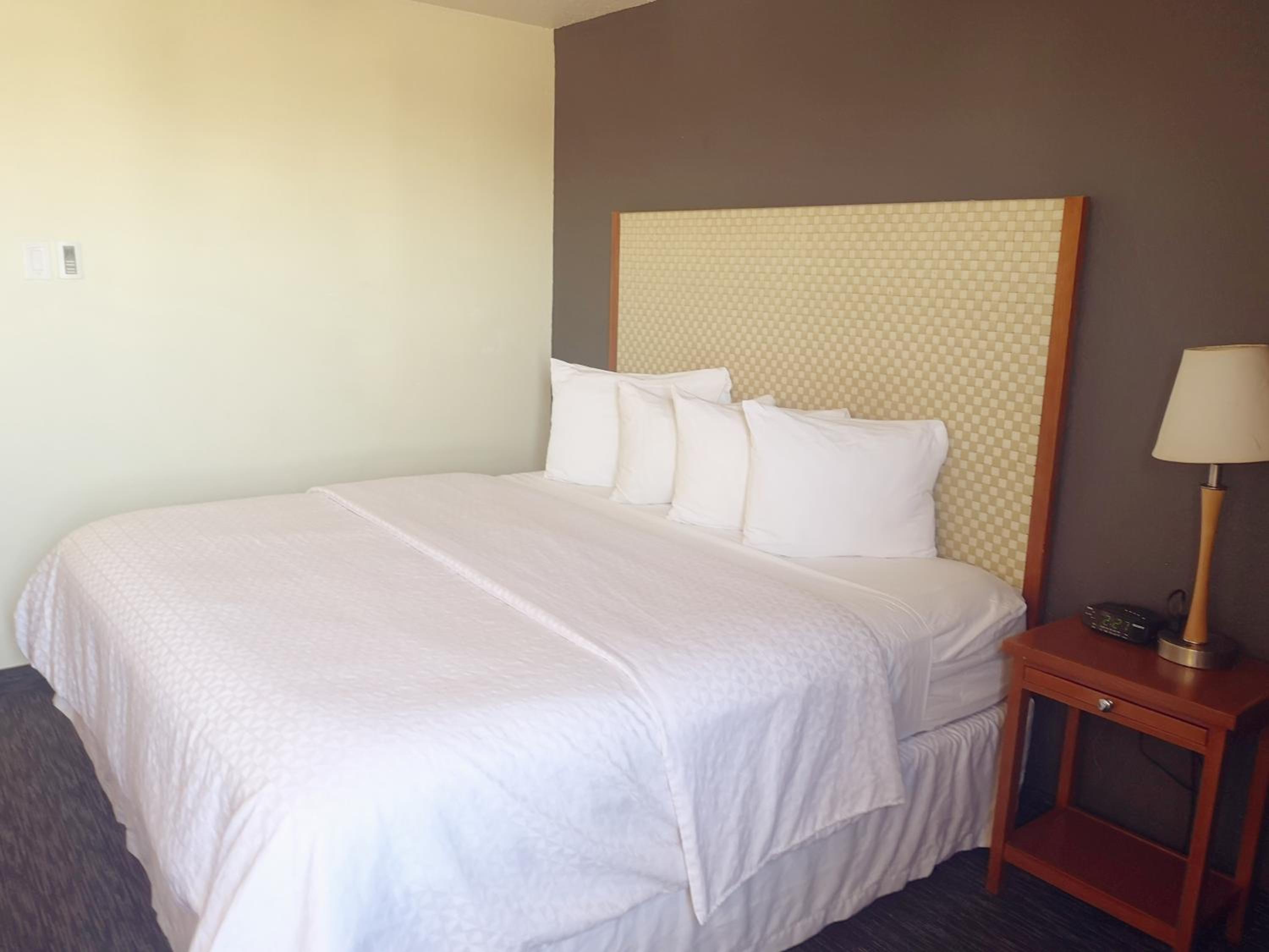 King Room - Non-Smoking - Photo 2