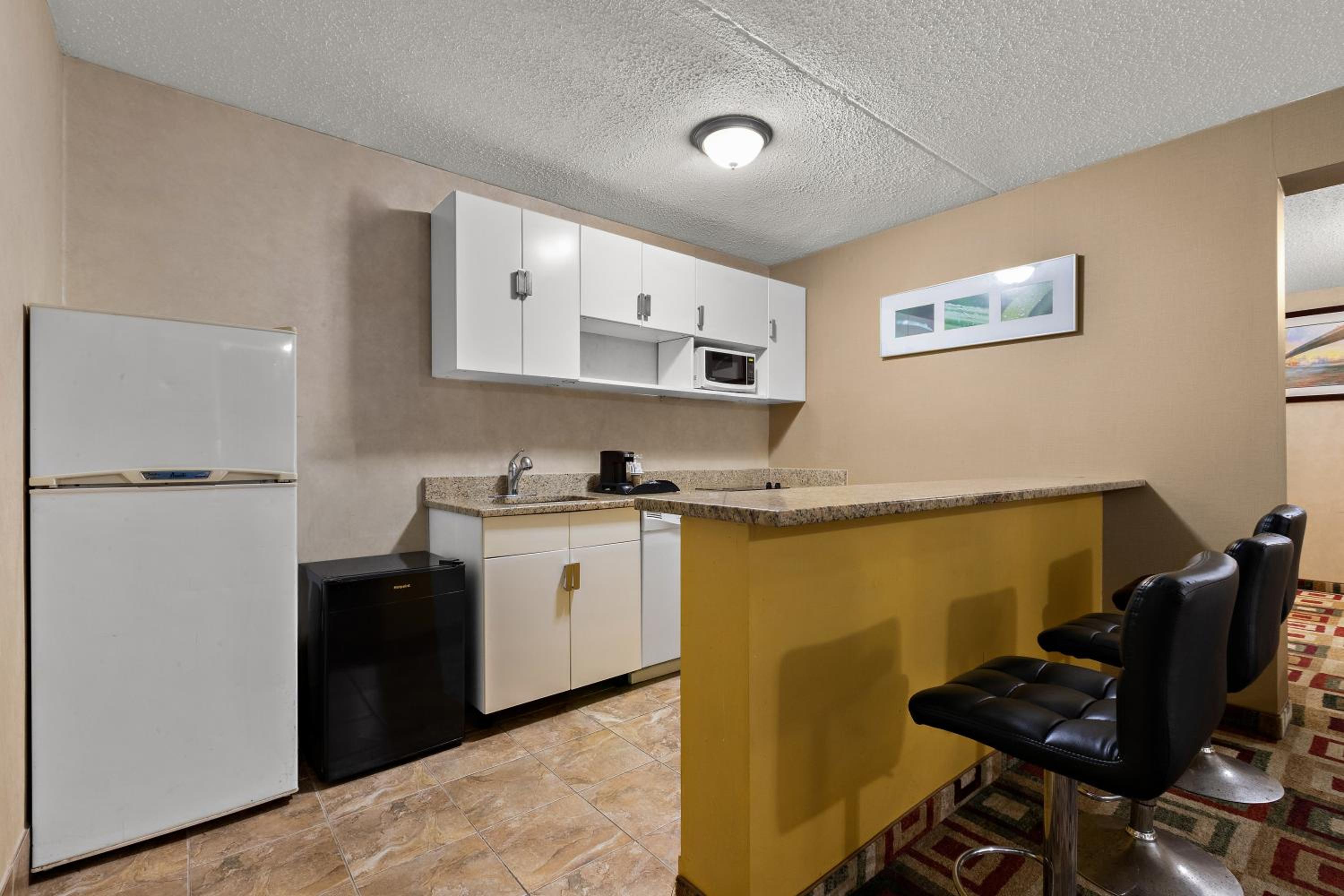 Efficiency Queen Suite with Living room - Non Smoking - Photo 4