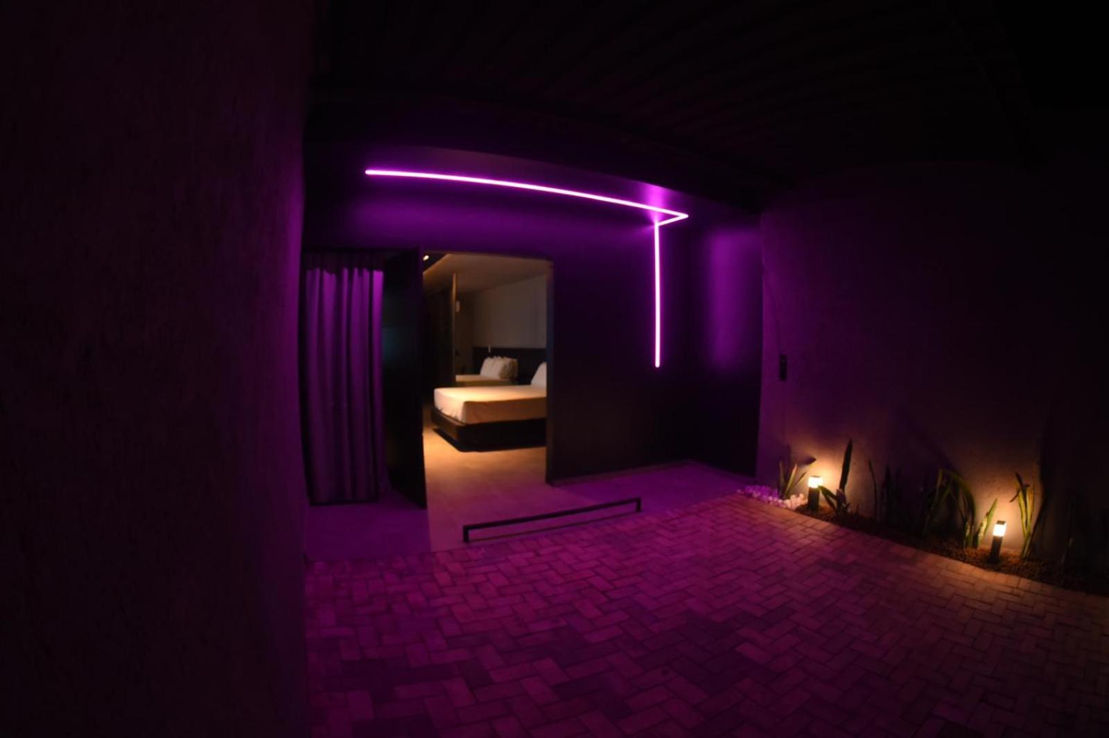 King Suite photo 3