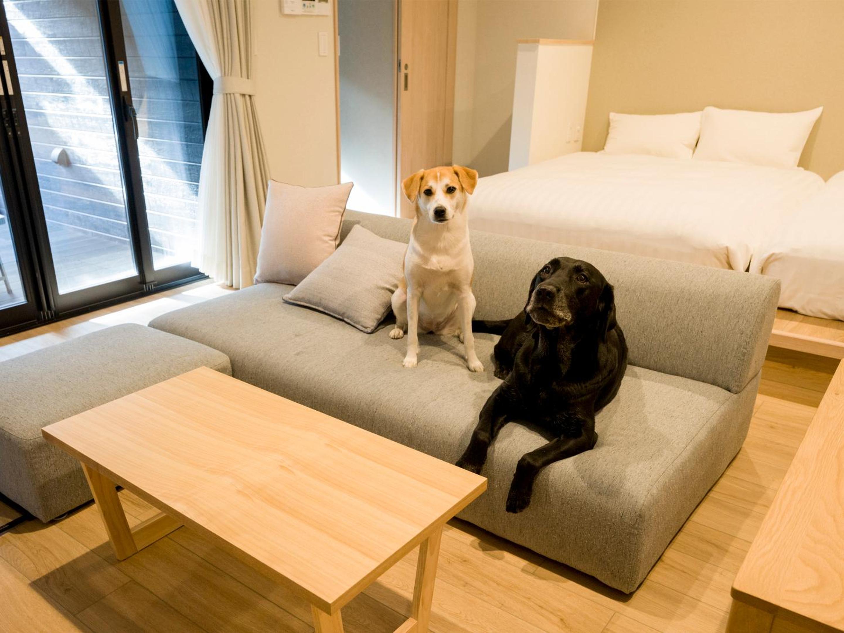 Room for 8 People - Photo 8