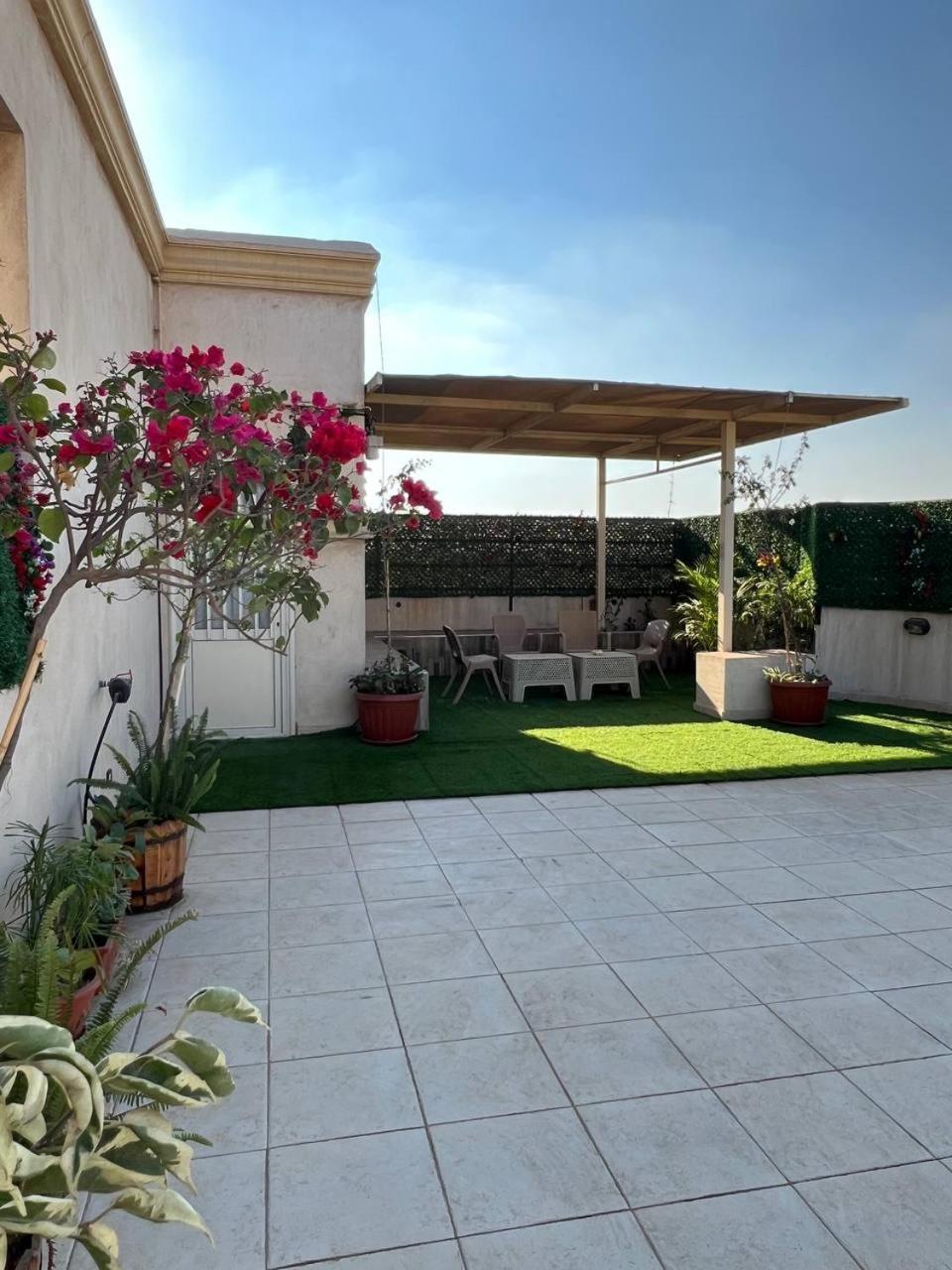 Studio with Terrace photo 2