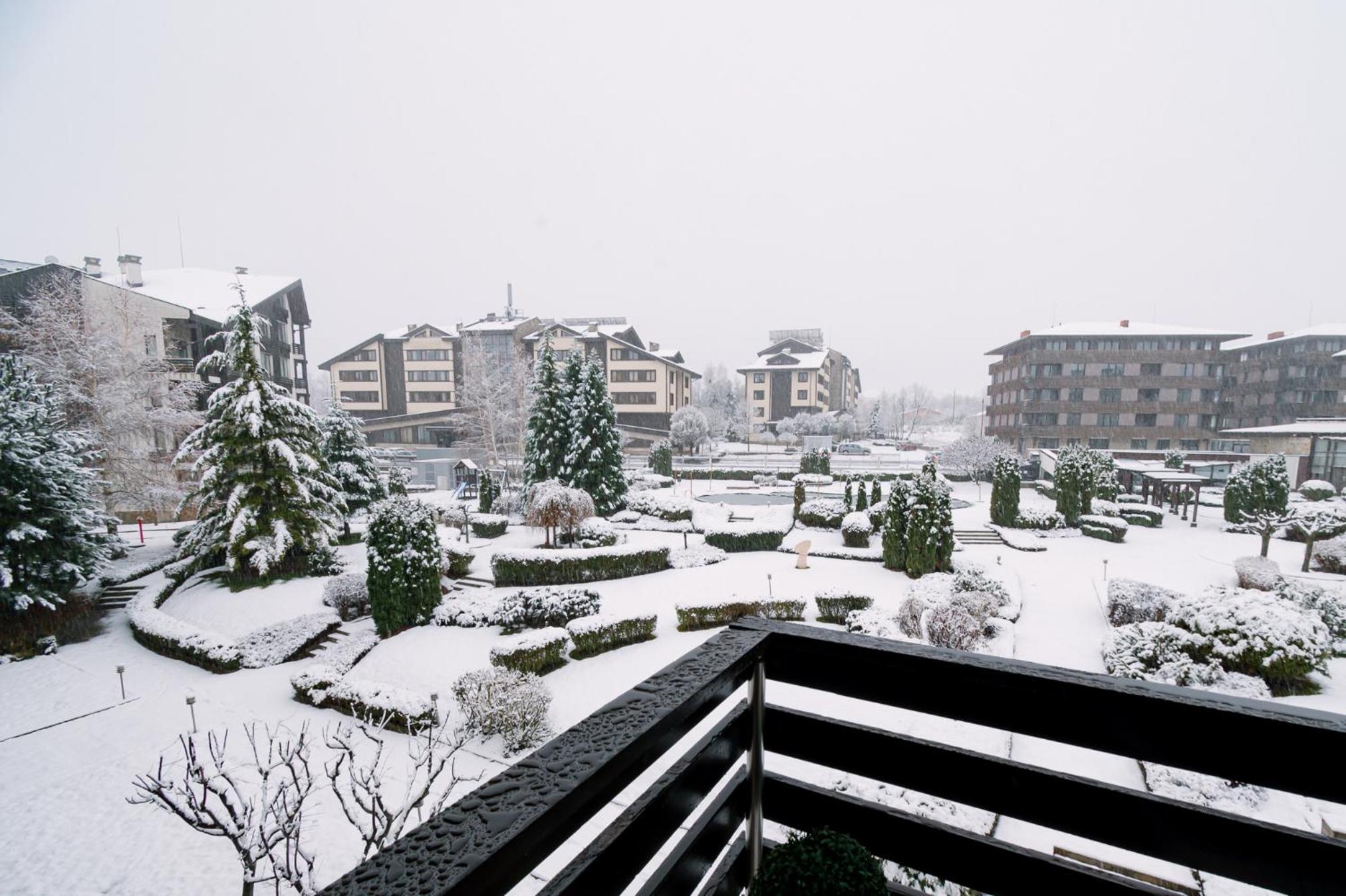 Apartment with Mountain View photo 2