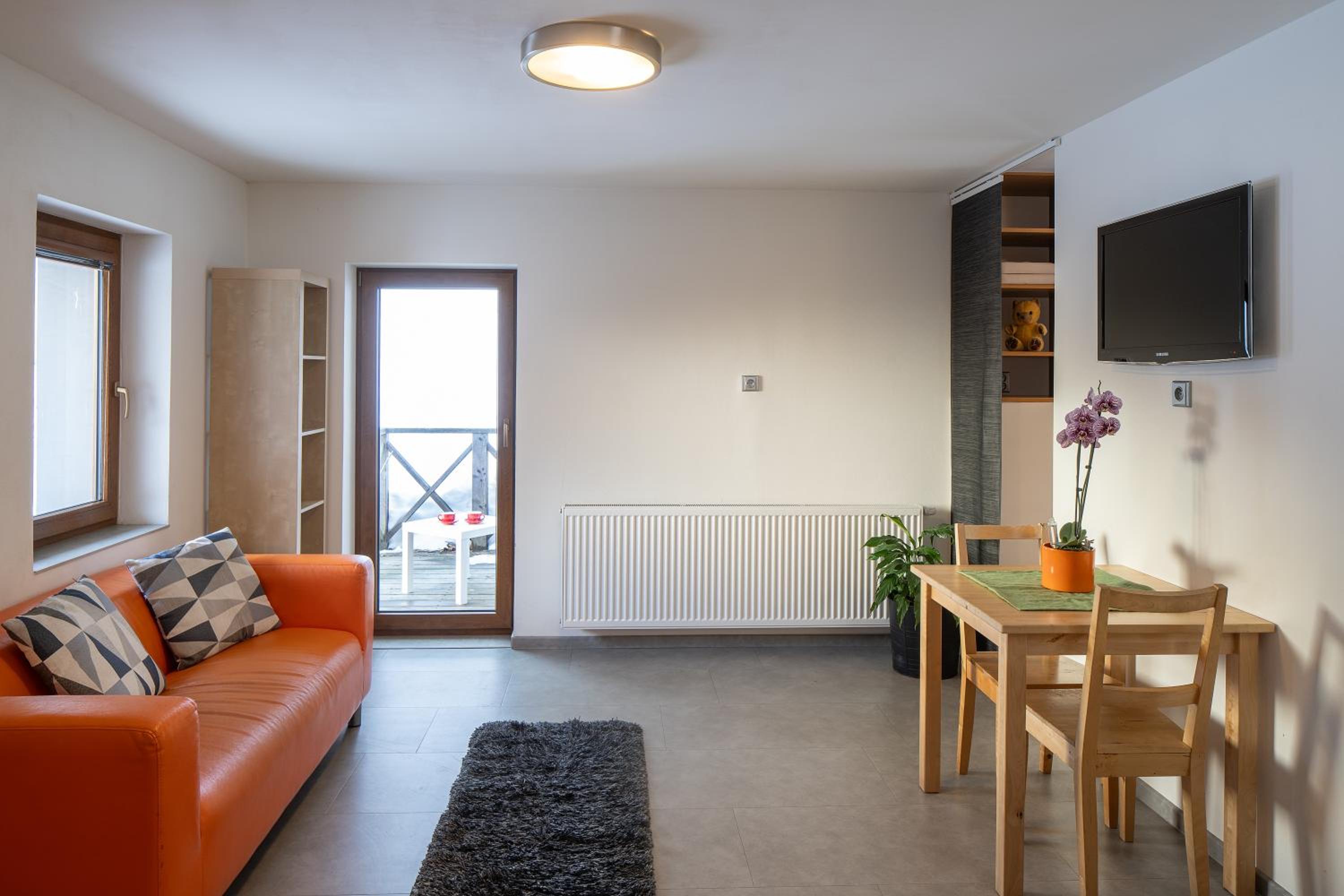 Apartment with Terrace photo 3