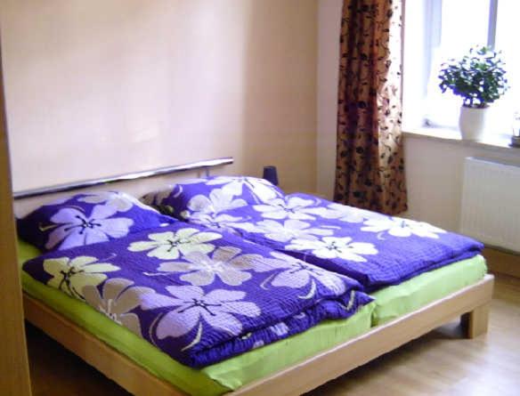 Two-Bedroom Apartment with Shower  photo 1
