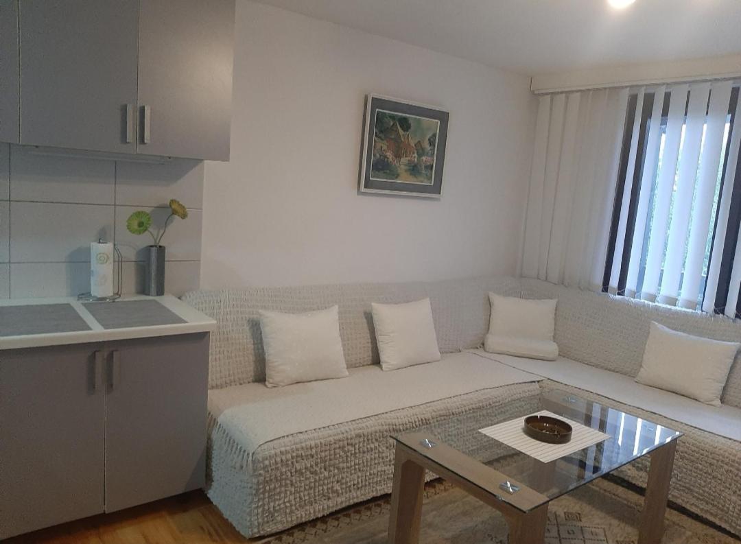 Family Room with Terrace photo 3