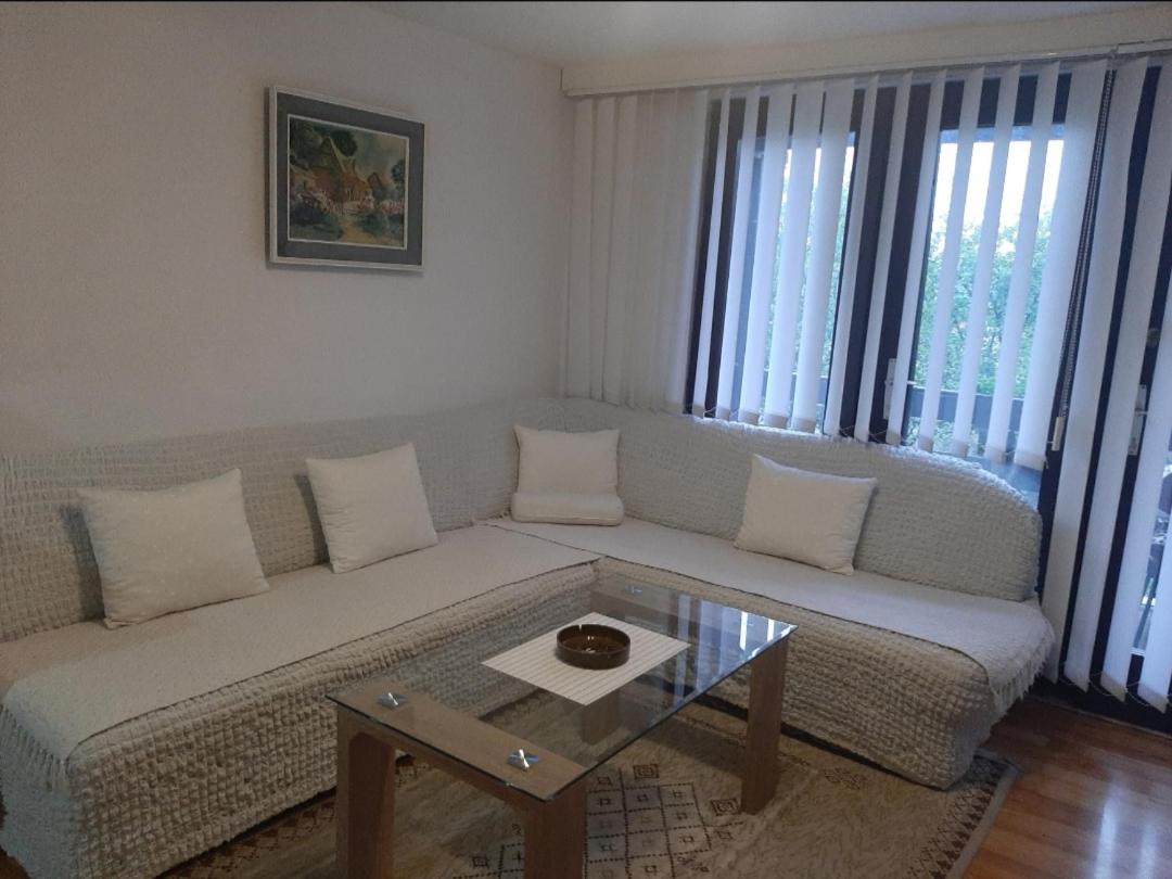 Family Room with Terrace photo 2
