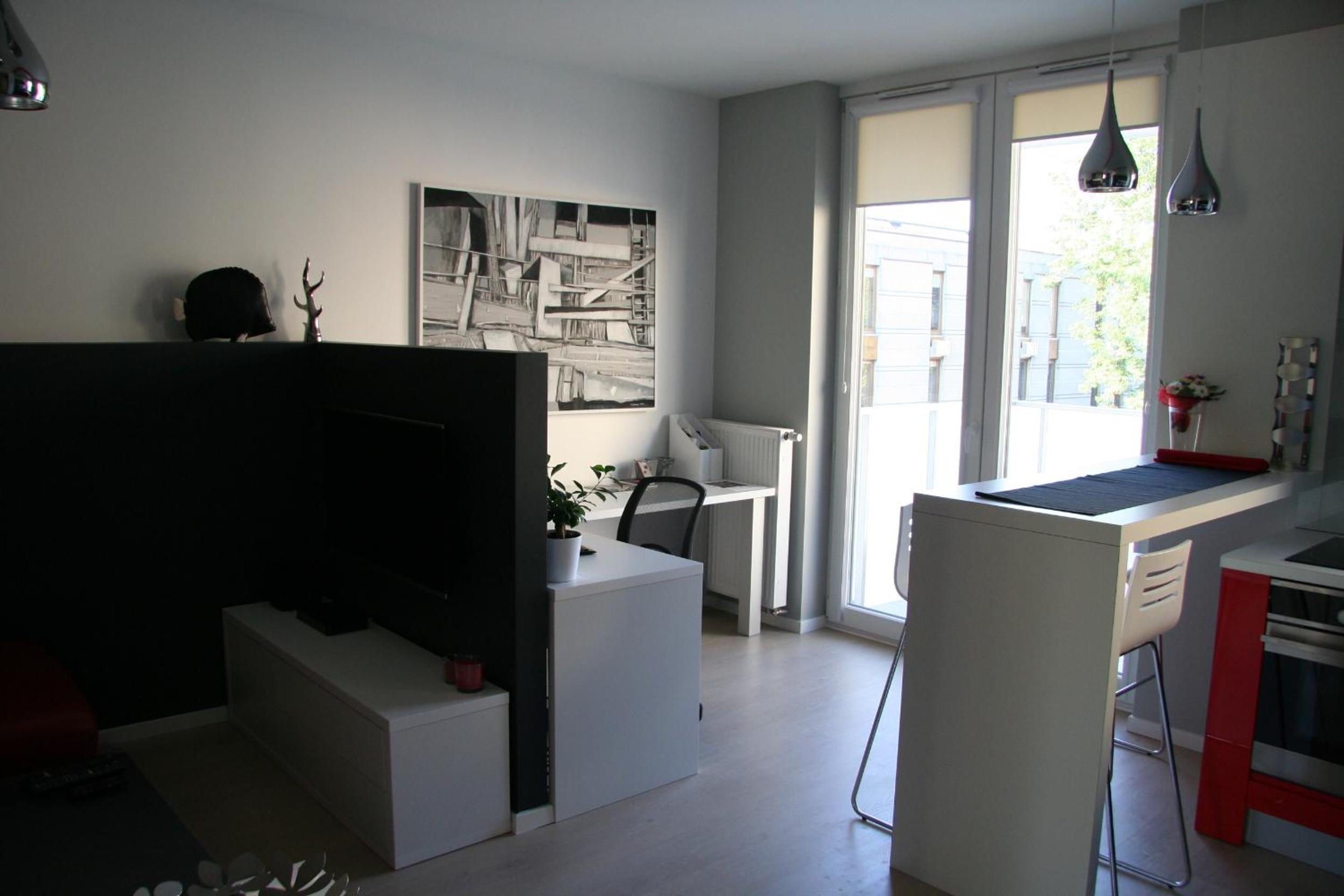 Studio Apartment photo 2