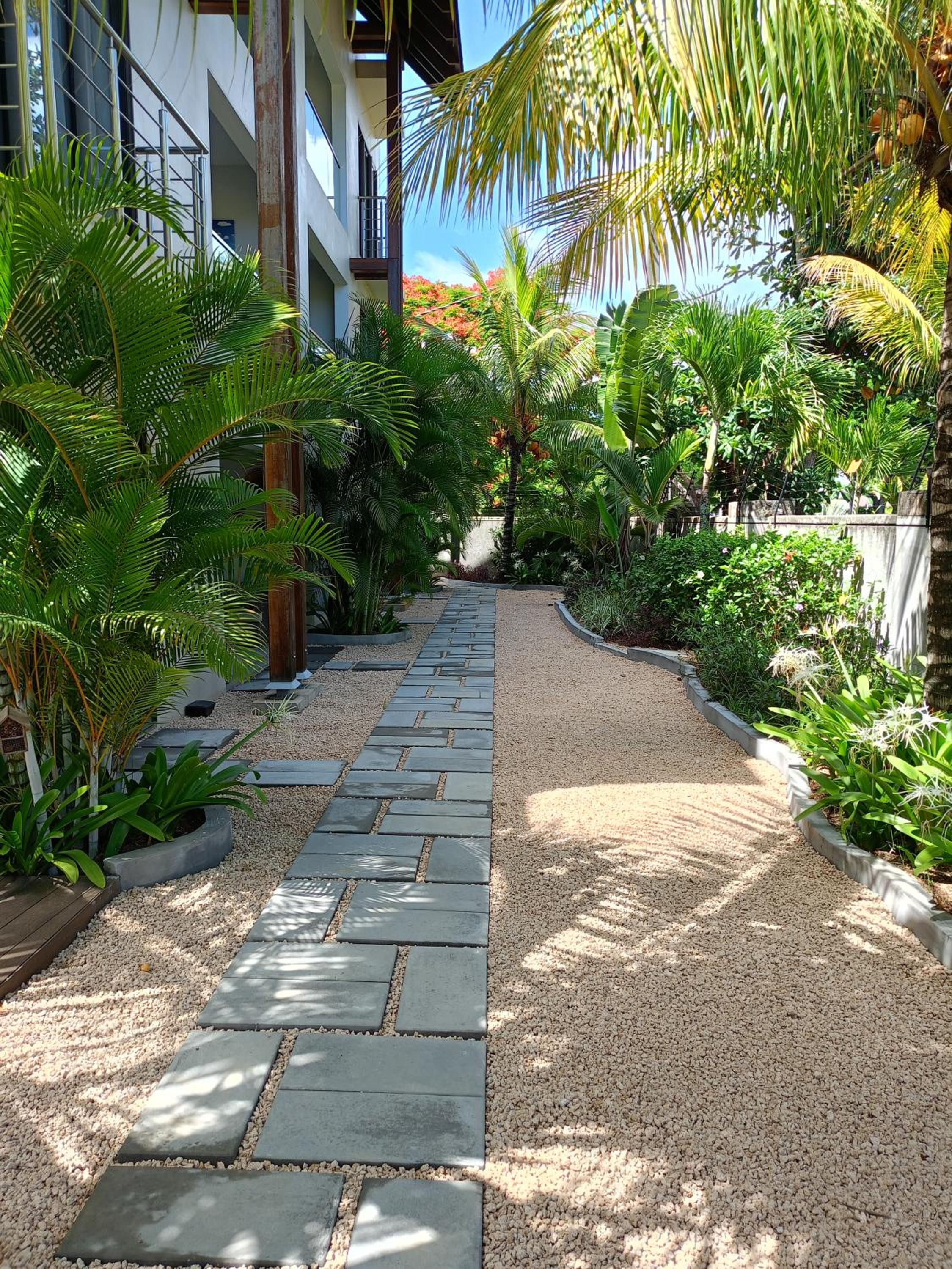 Superior Apartment photo 3