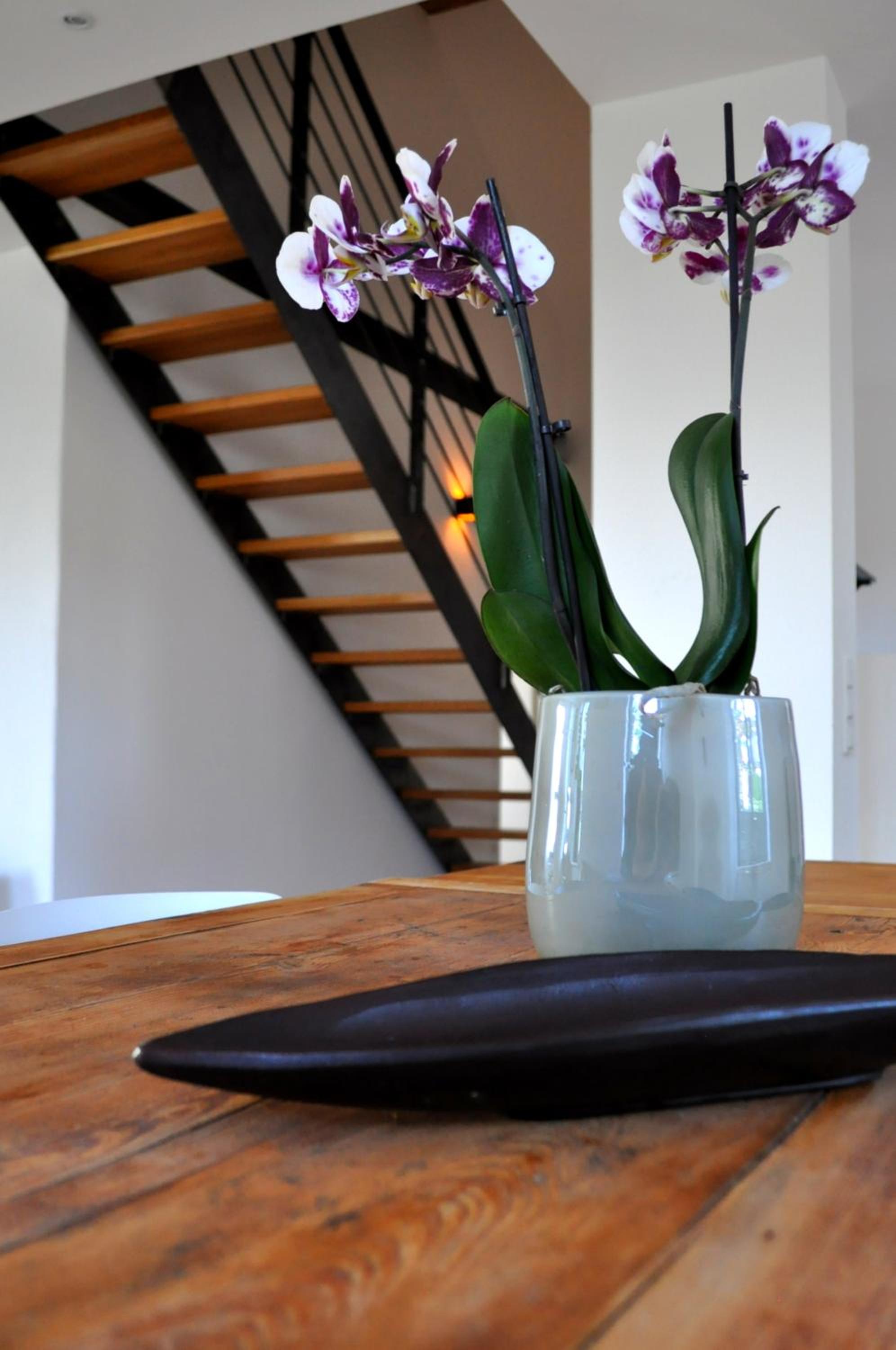 Duplex Apartment photo 3