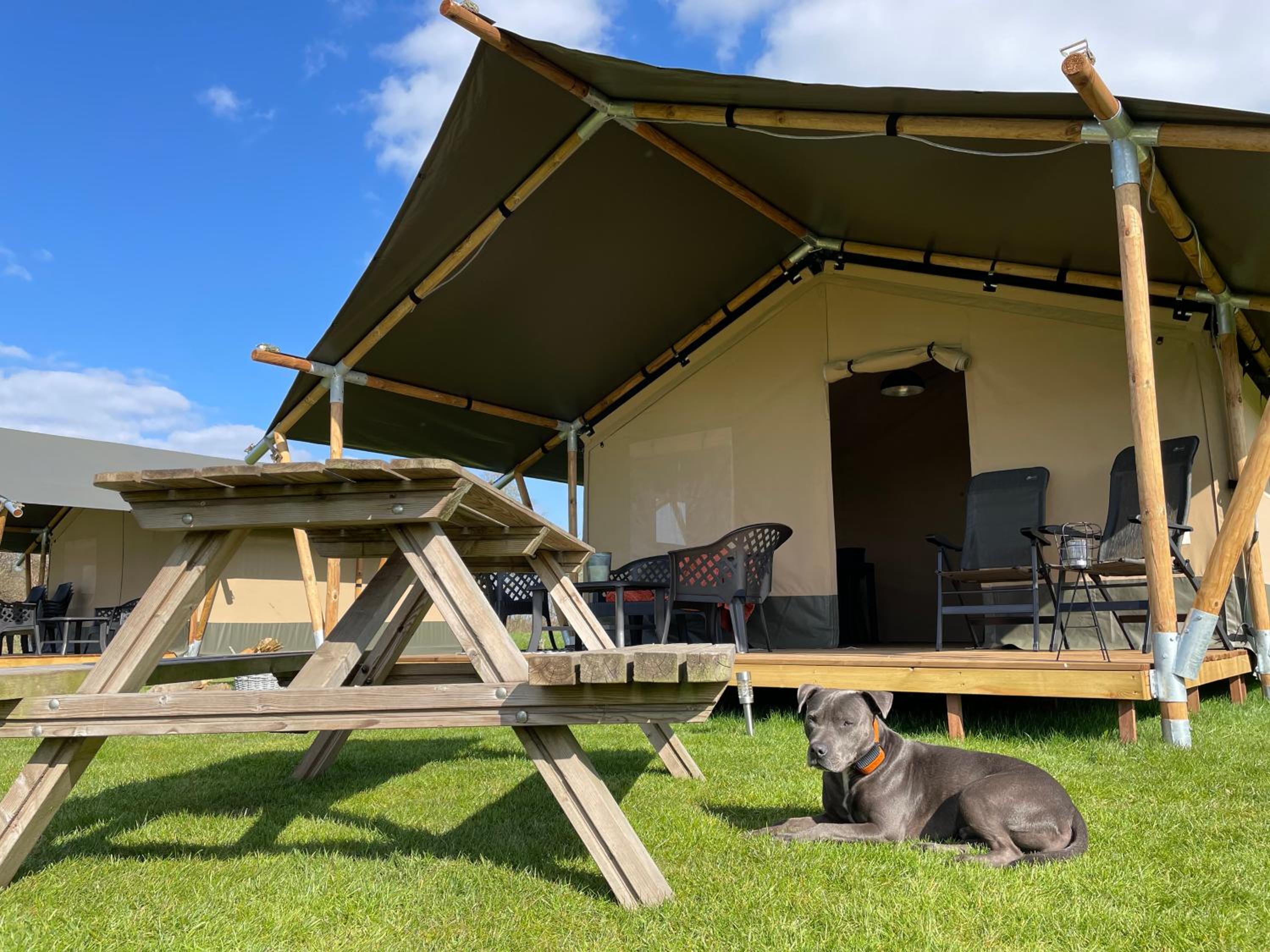 Tent photo 3
