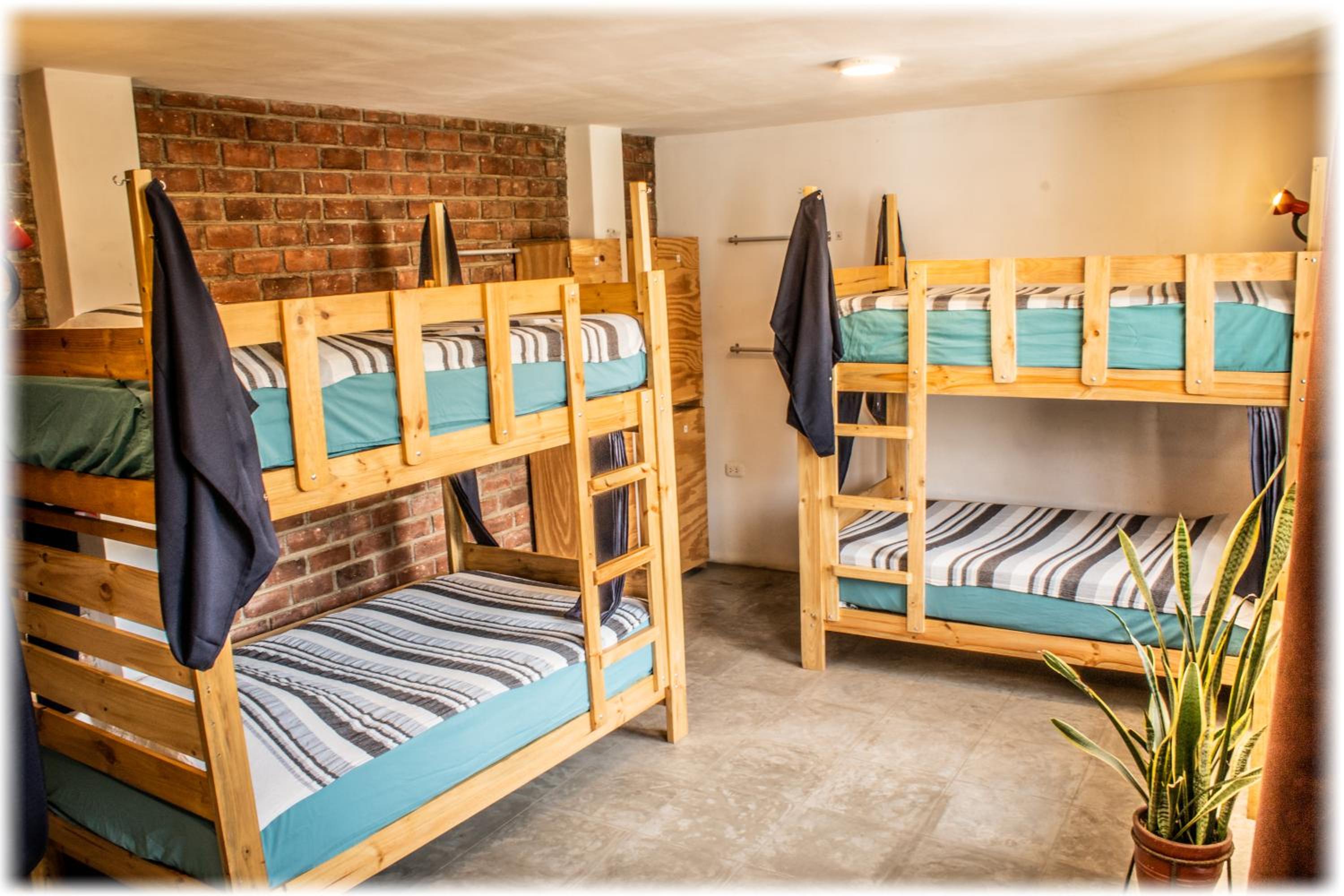 Bed in 6-Bed Mixed Dormitory Room photo 2