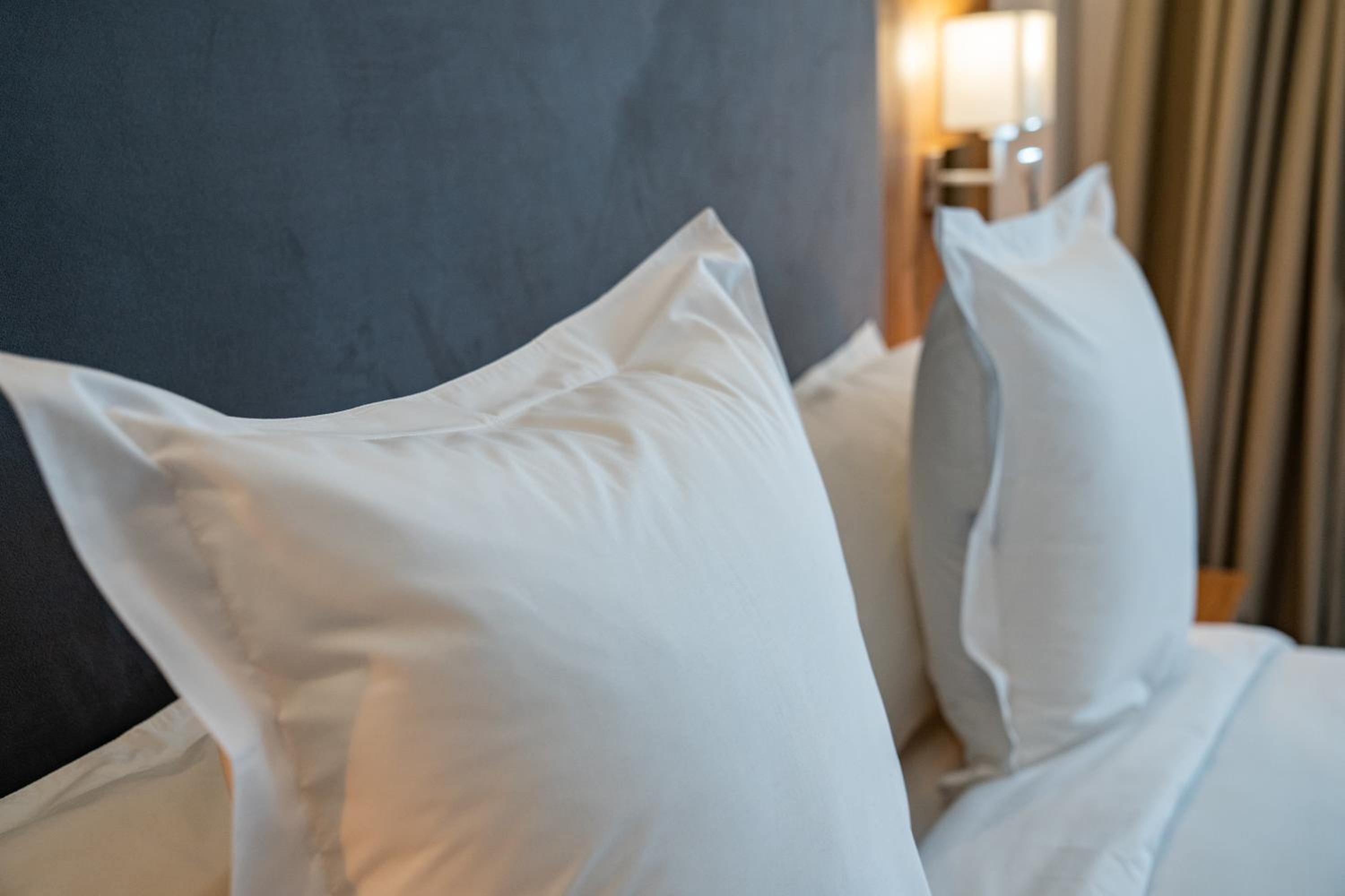 Superior Suite - Photo 2