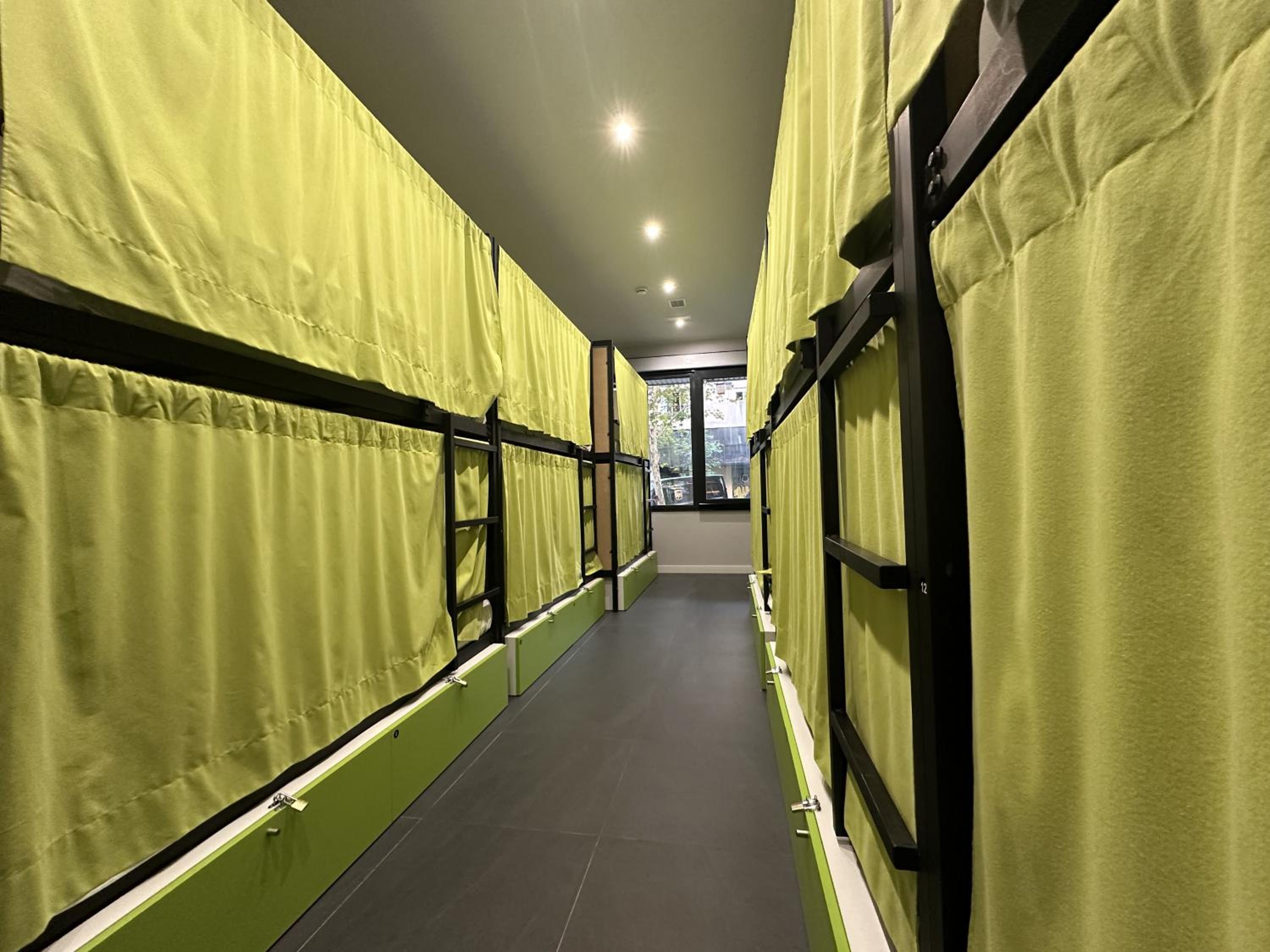 Bunk Bed in Mixed Dormitory Room photo 3