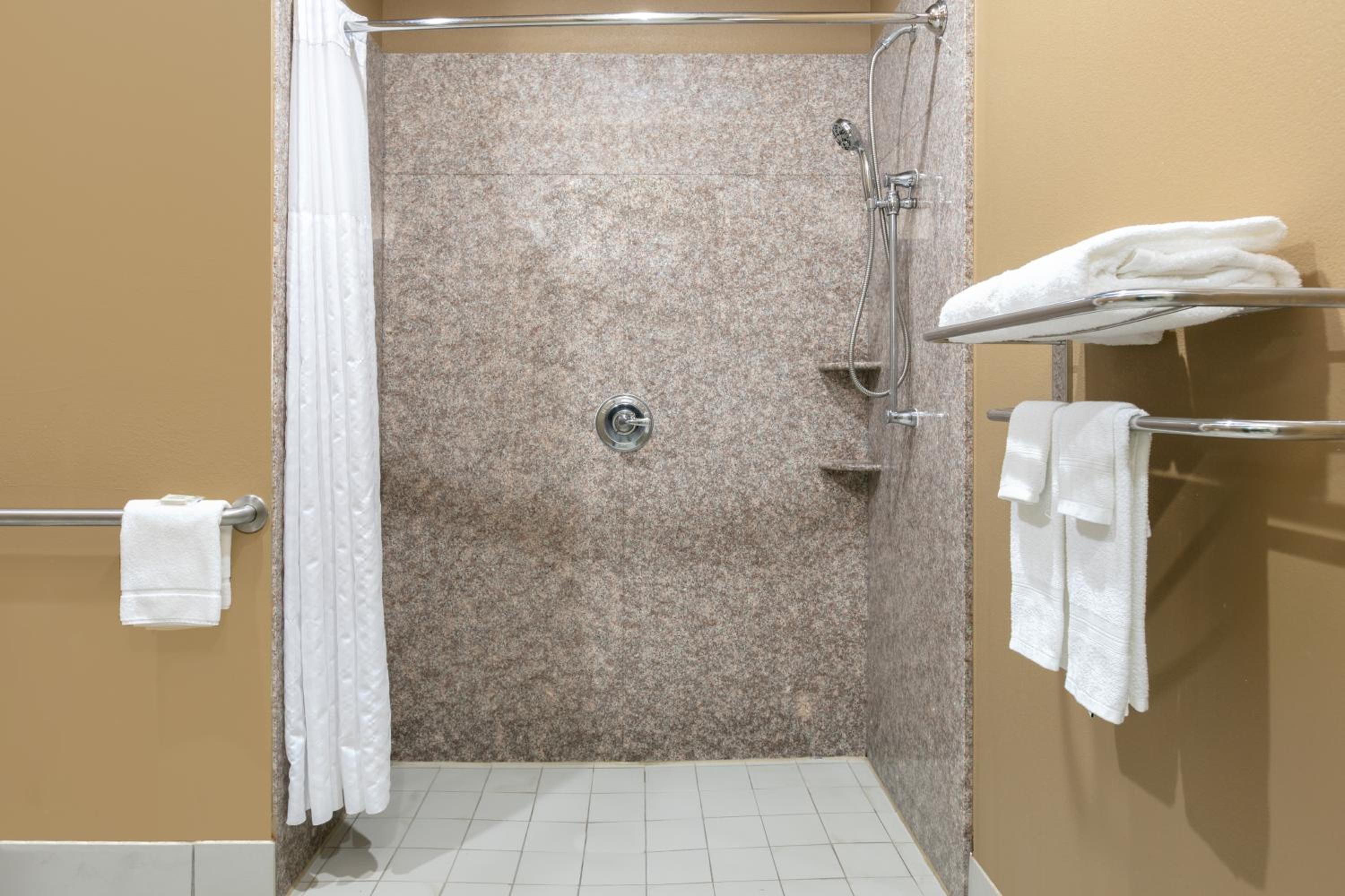 King Suite with Mobility Access and Bathtub with Grab Bars, Non-Smoking photo 3